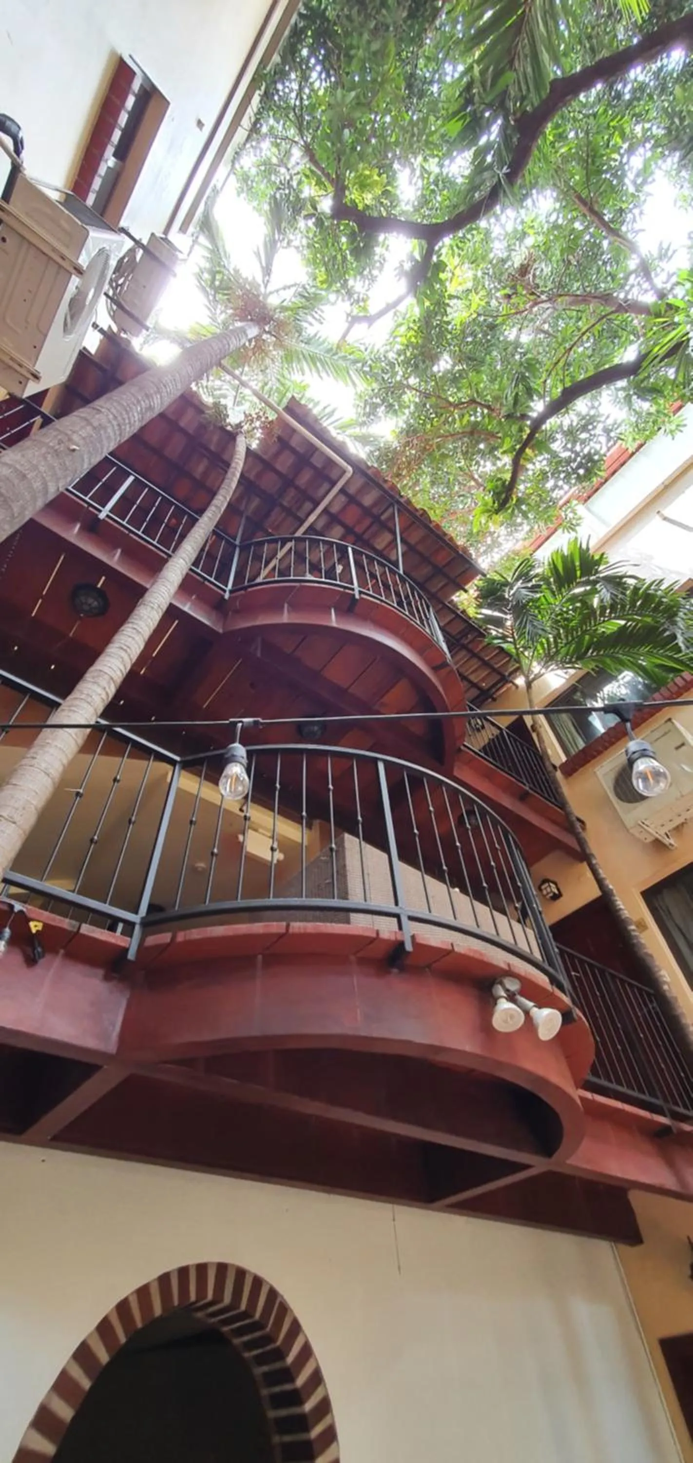 Garden in Humuya Inn