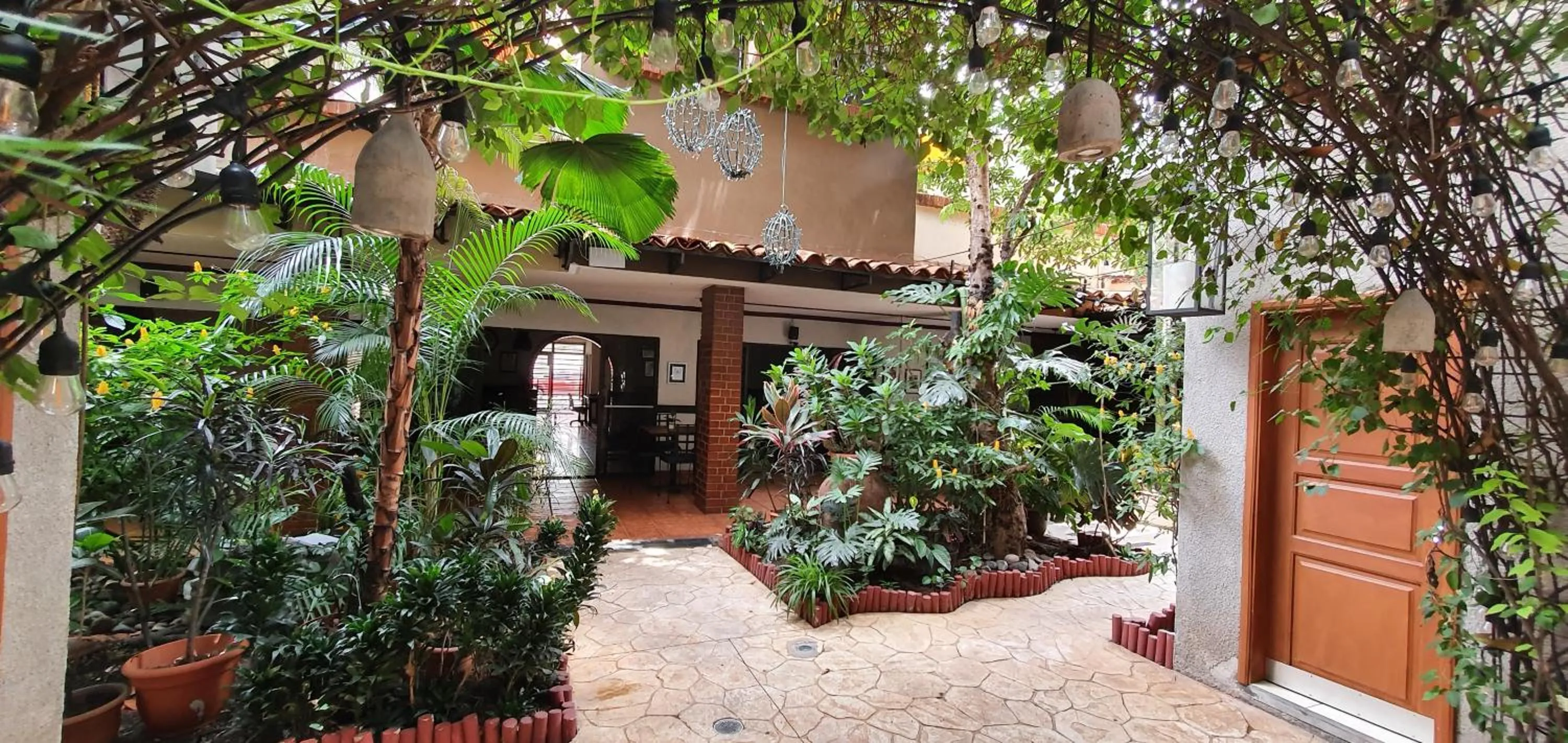 Garden in Humuya Inn