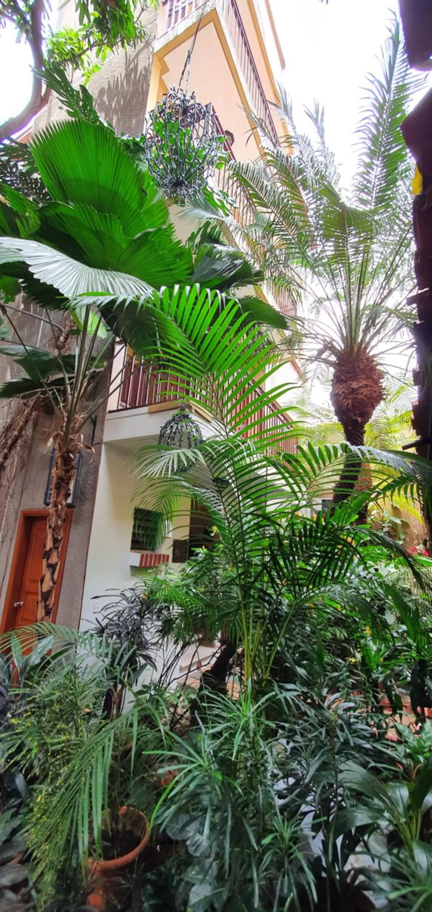 Garden in Humuya Inn