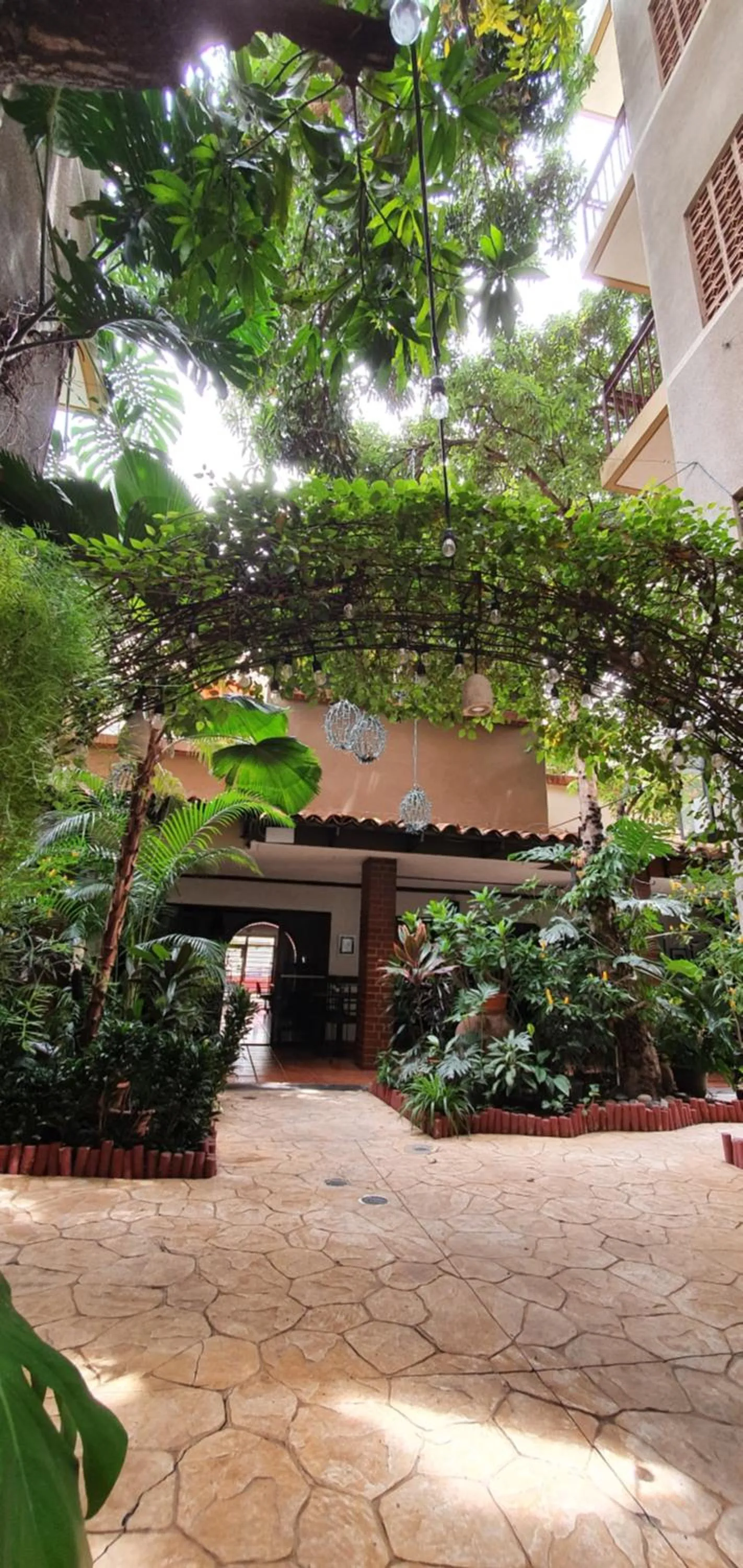 Garden in Humuya Inn