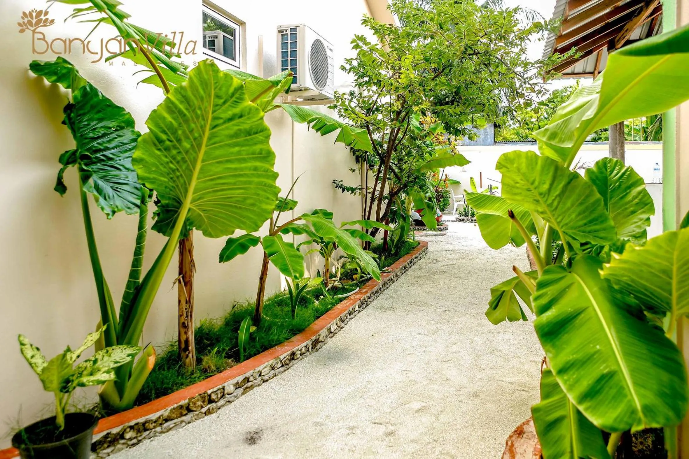 Garden in Banyan Villa Maldives Dhangethi
