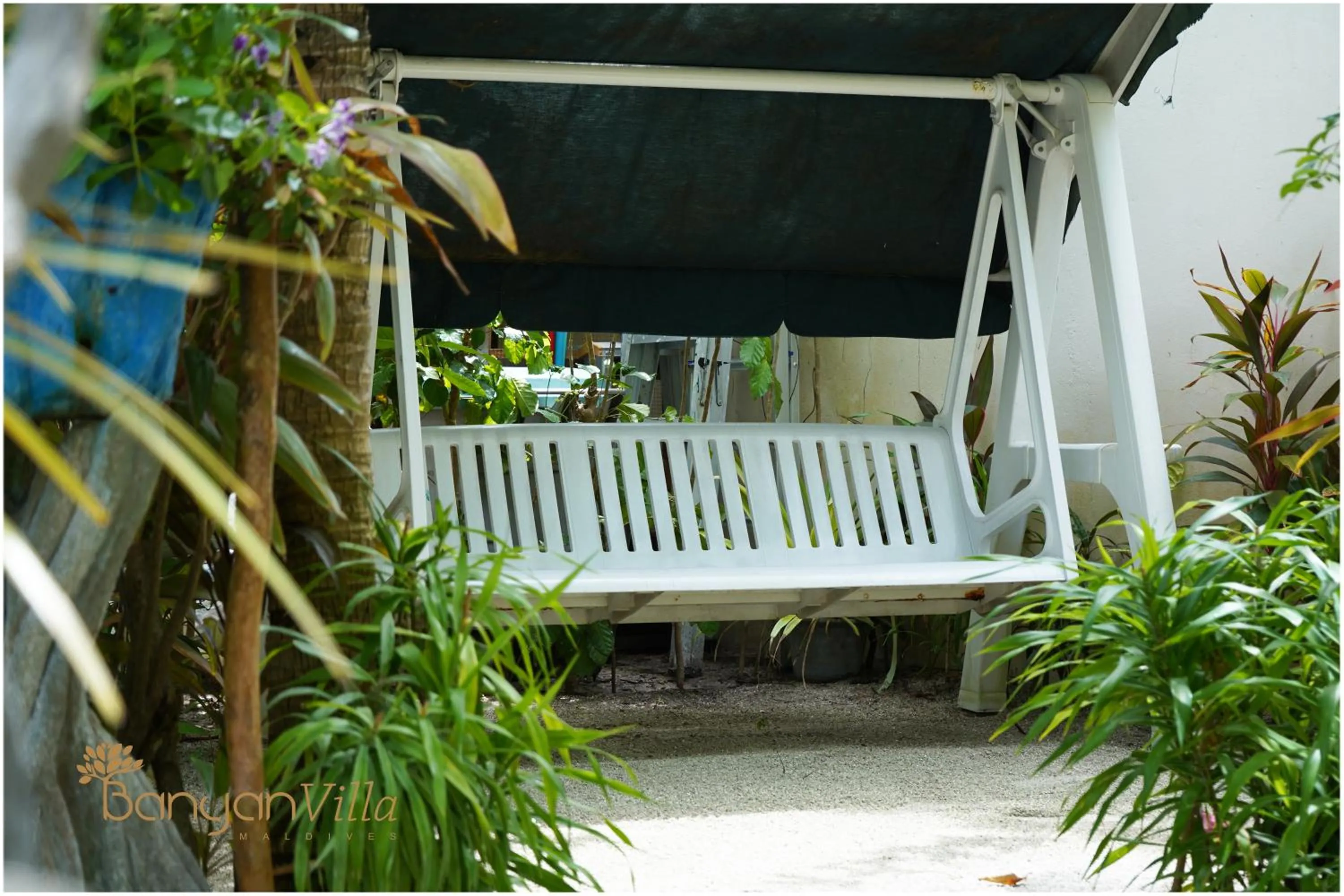 Garden in Banyan Villa Maldives Dhangethi