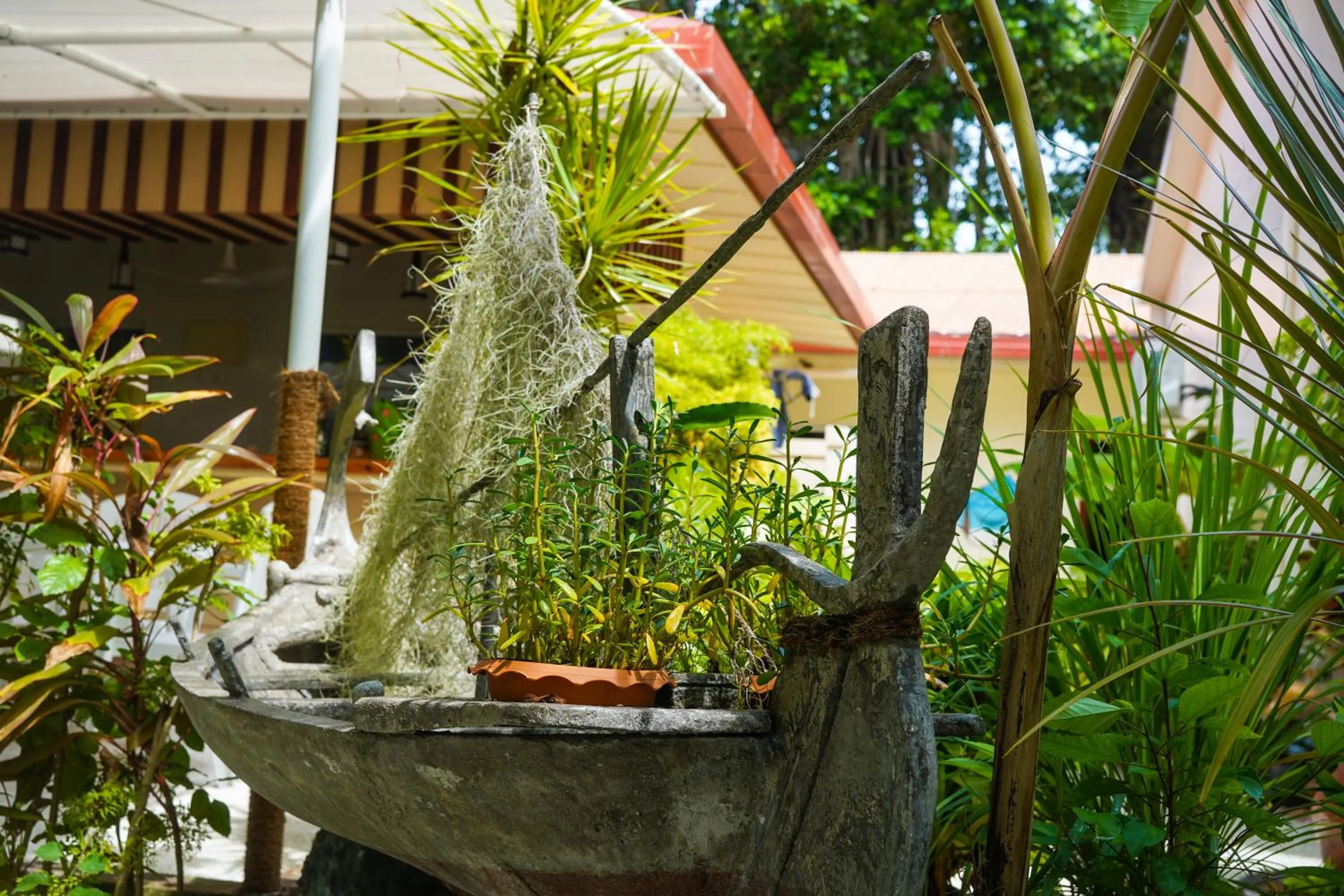 Garden in Banyan Villa Maldives Dhangethi