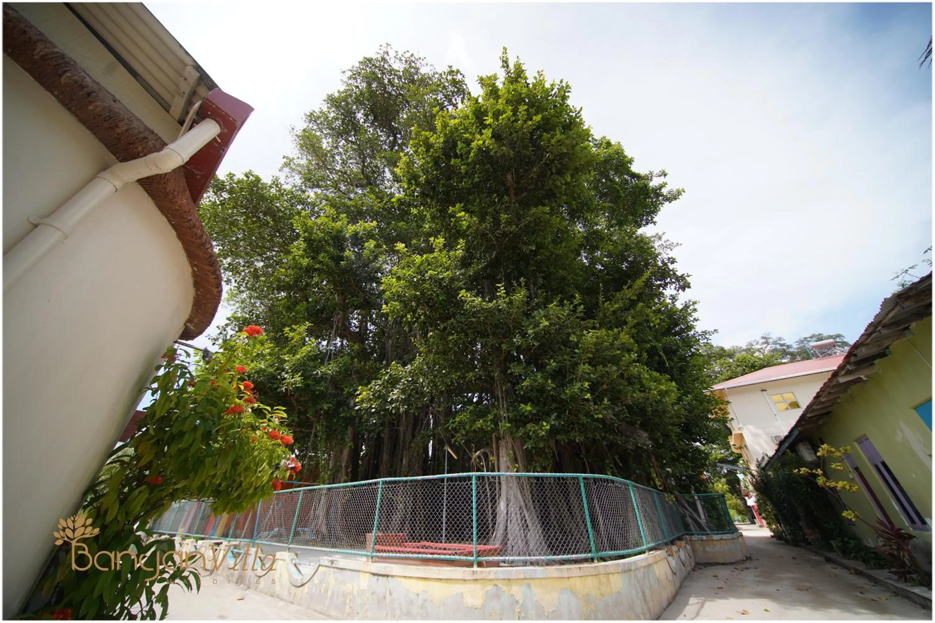 Property building in Banyan Villa Maldives Dhangethi