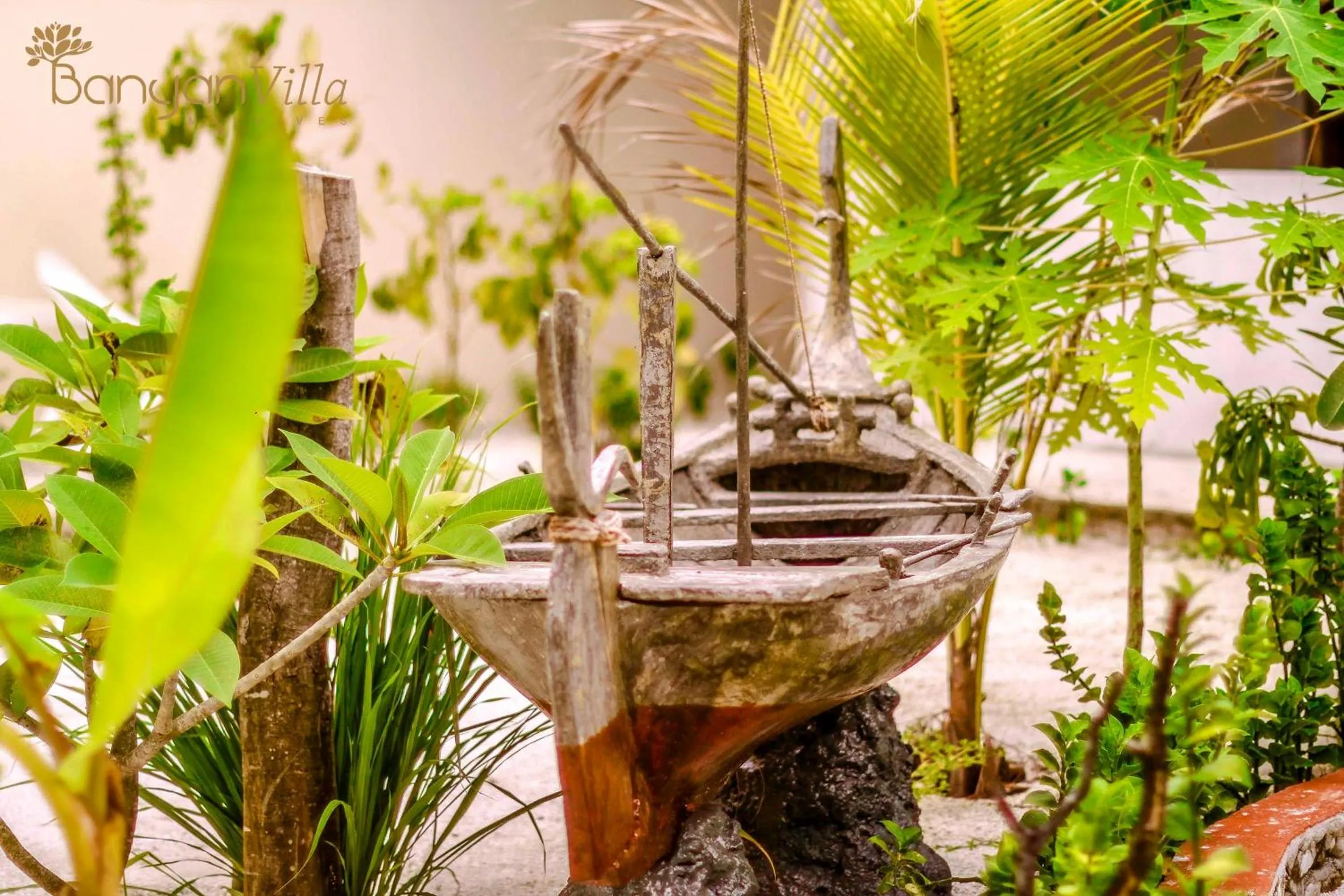 Garden view in Banyan Villa Maldives Dhangethi