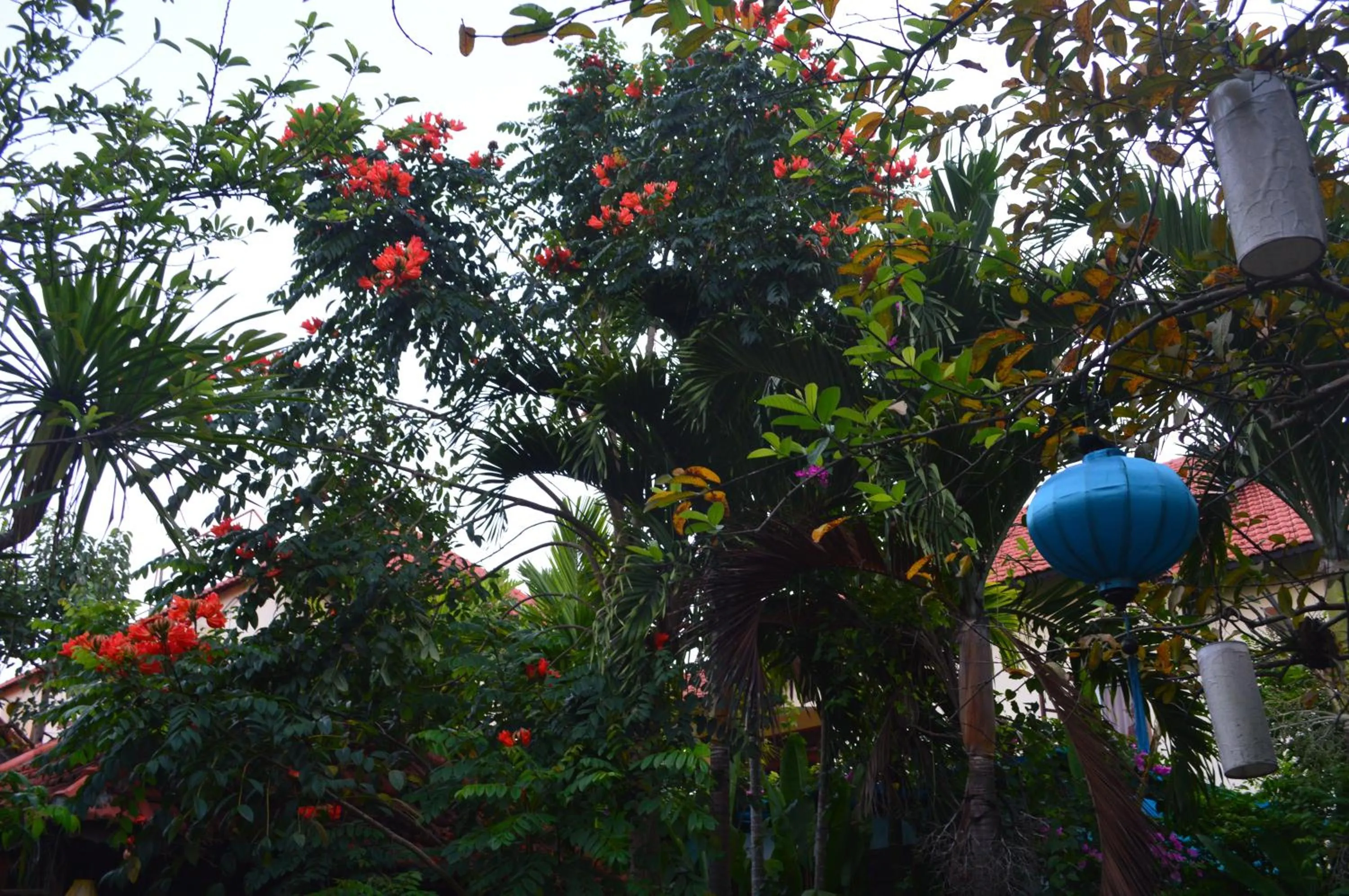 Garden in Villa Orchid Garden Riverside Hoi An