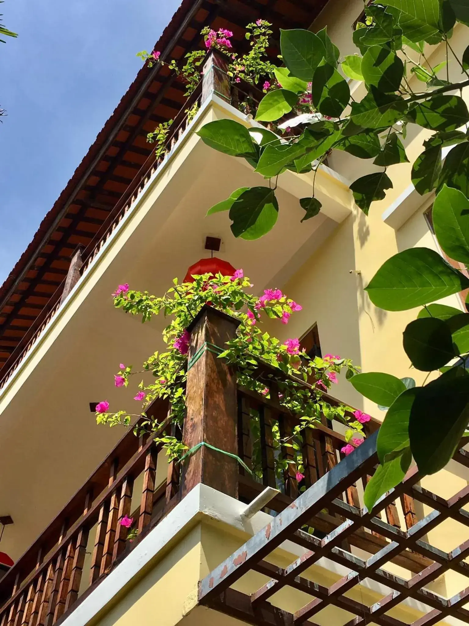 Suite with Balcony in Villa Orchid Garden Riverside Hoi An Suite with Balcony in Villa Orchid Garden Riverside Hoi An