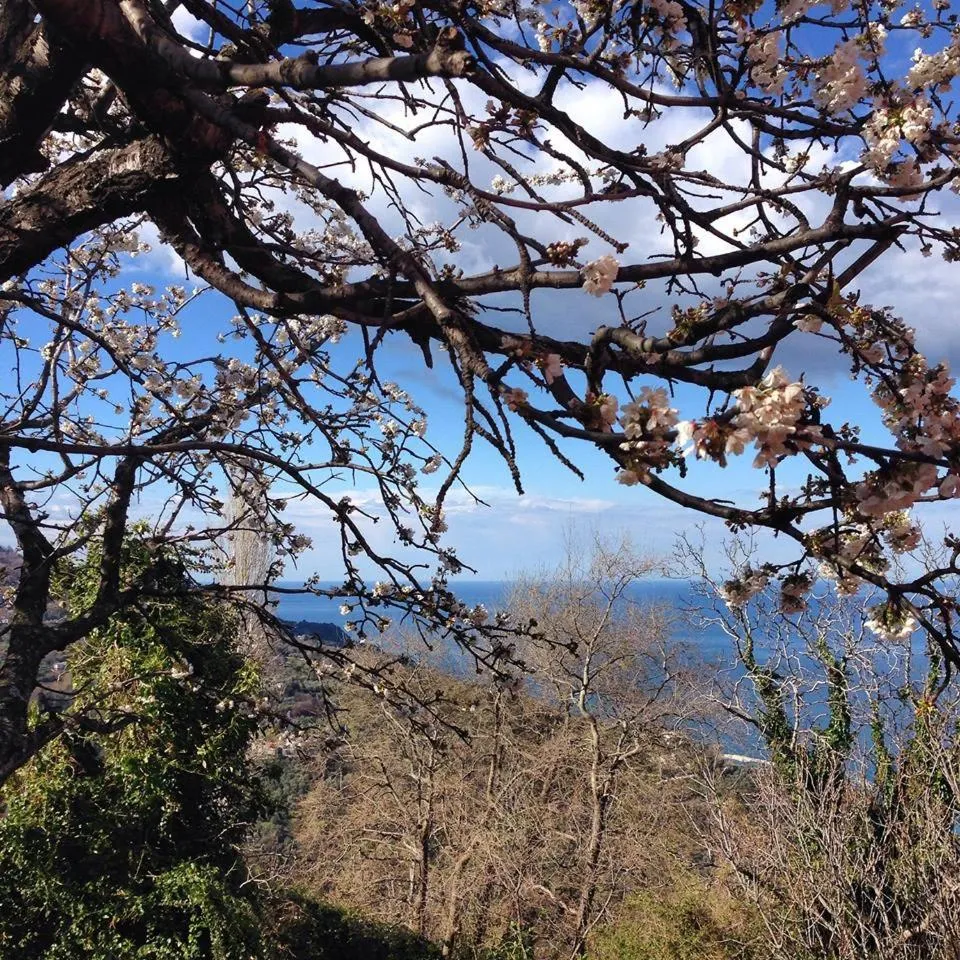 Kalderimi Country House