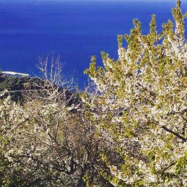 Kalderimi Country House