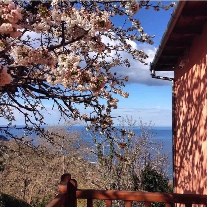 Spring in Kalderimi Country House