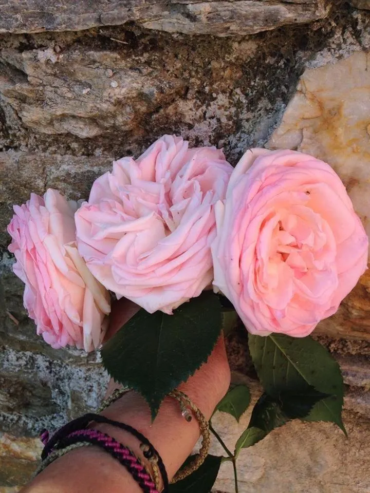 Kalderimi Country House