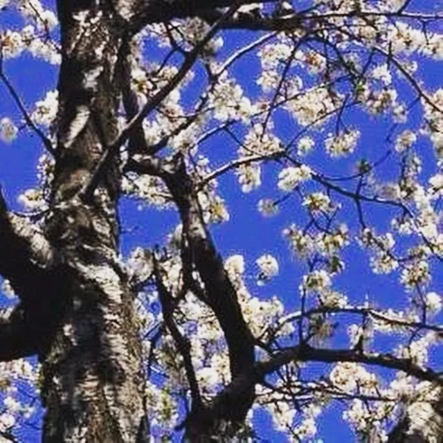 Kalderimi Country House