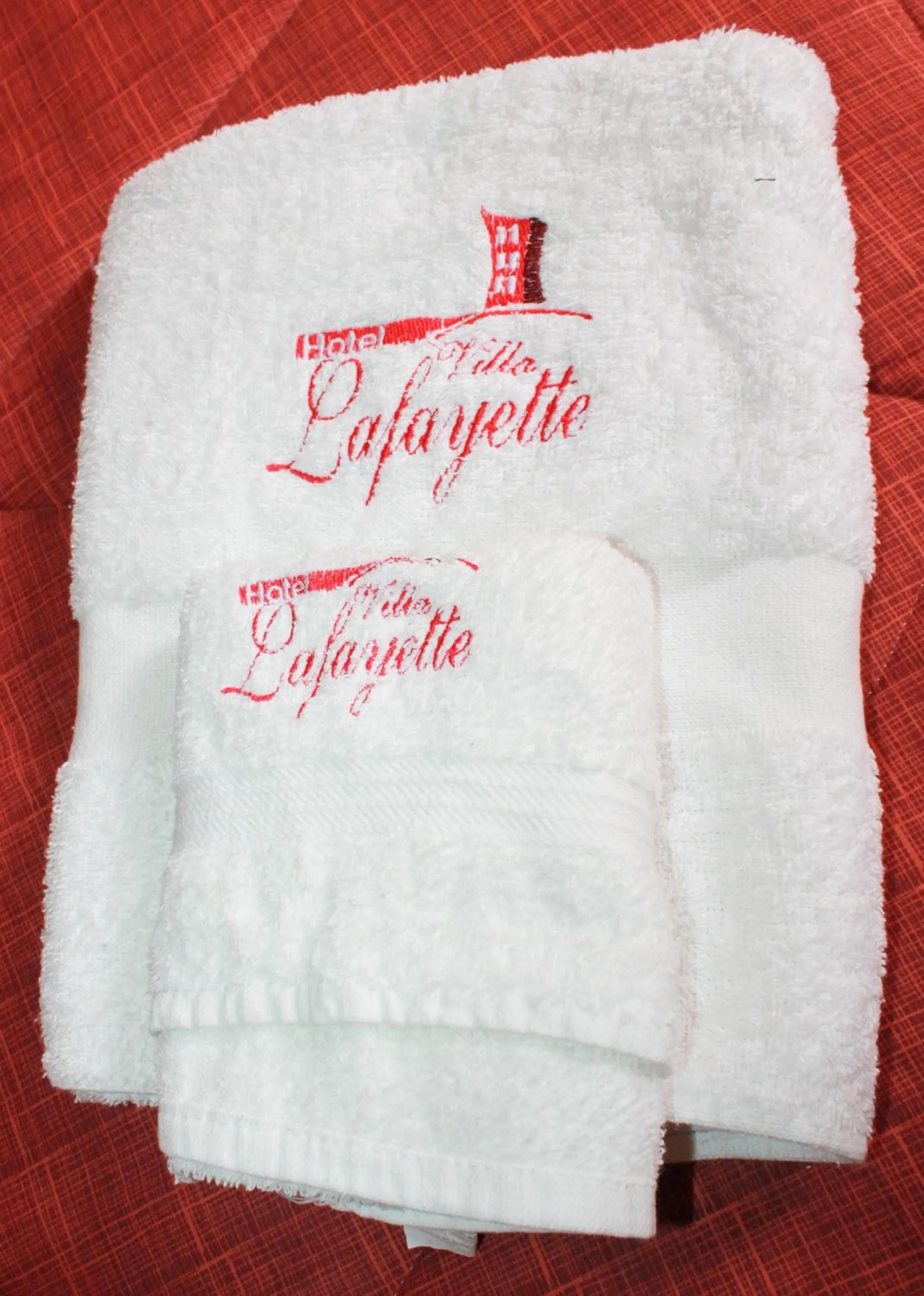 Property logo or sign in Hotel Villa Lafayette