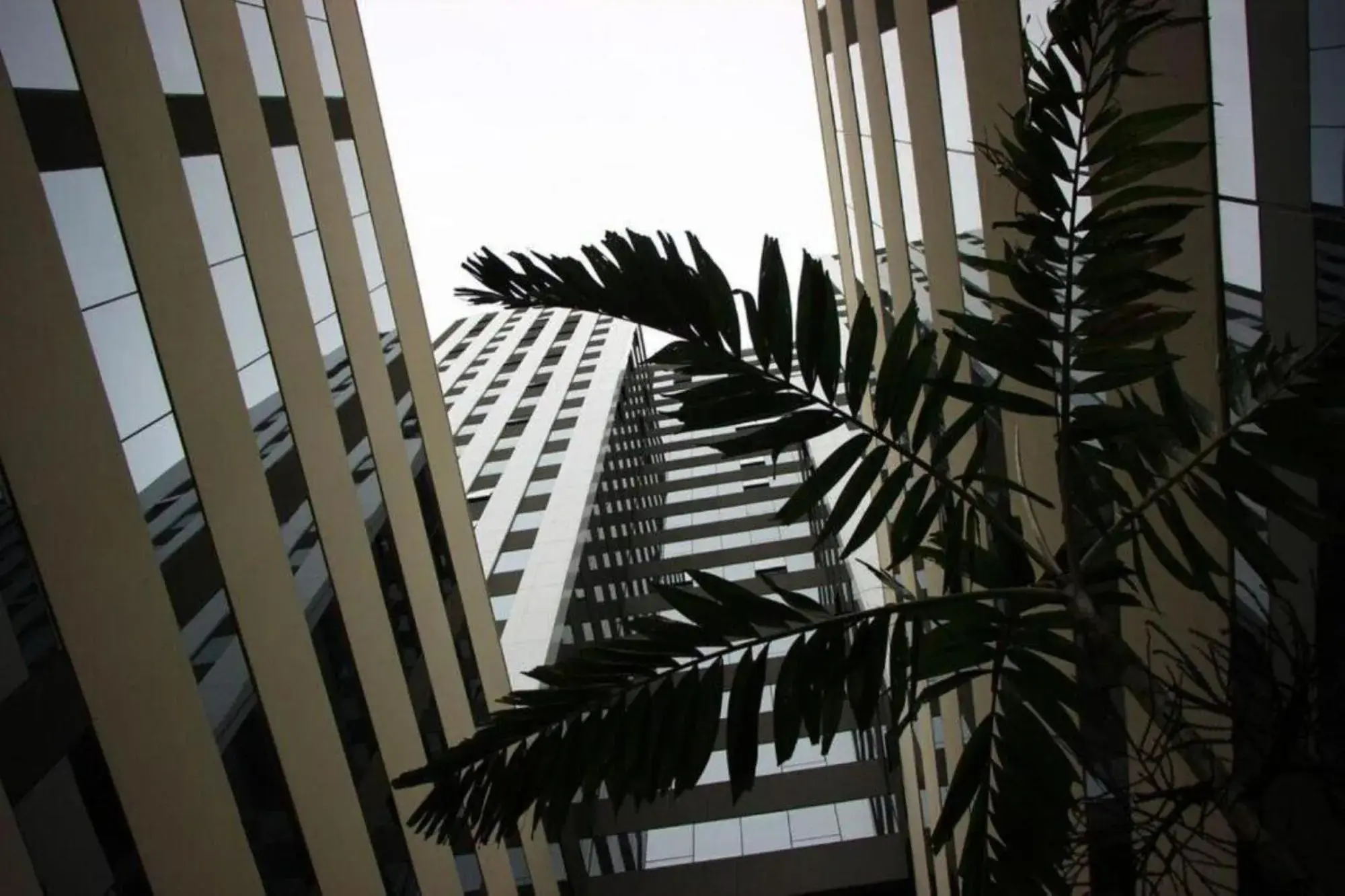 Facade/entrance in Blue Tree Premium Alphaville Facade/entrance in Blue Tree Premium Alphaville