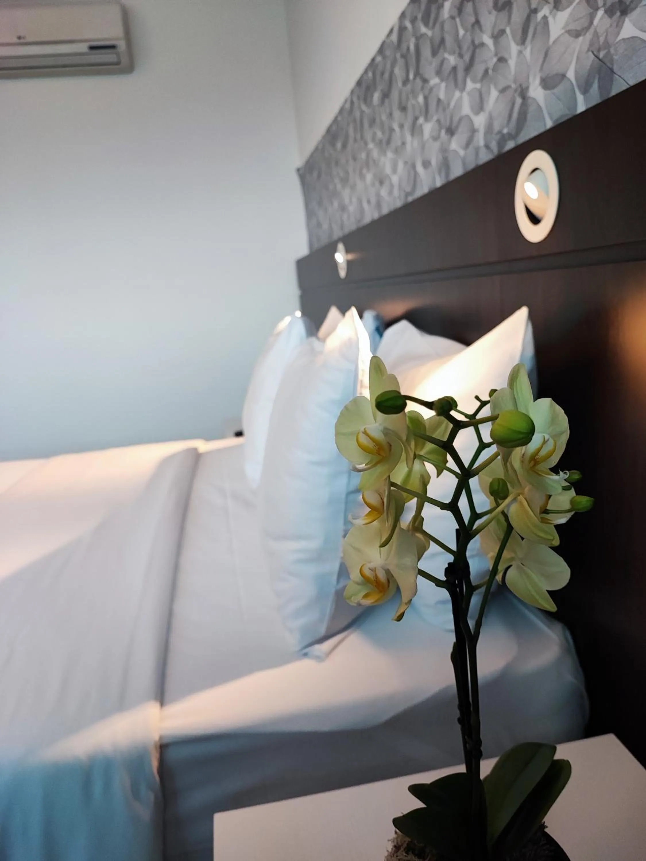 Bed in Blue Tree Premium Alphaville