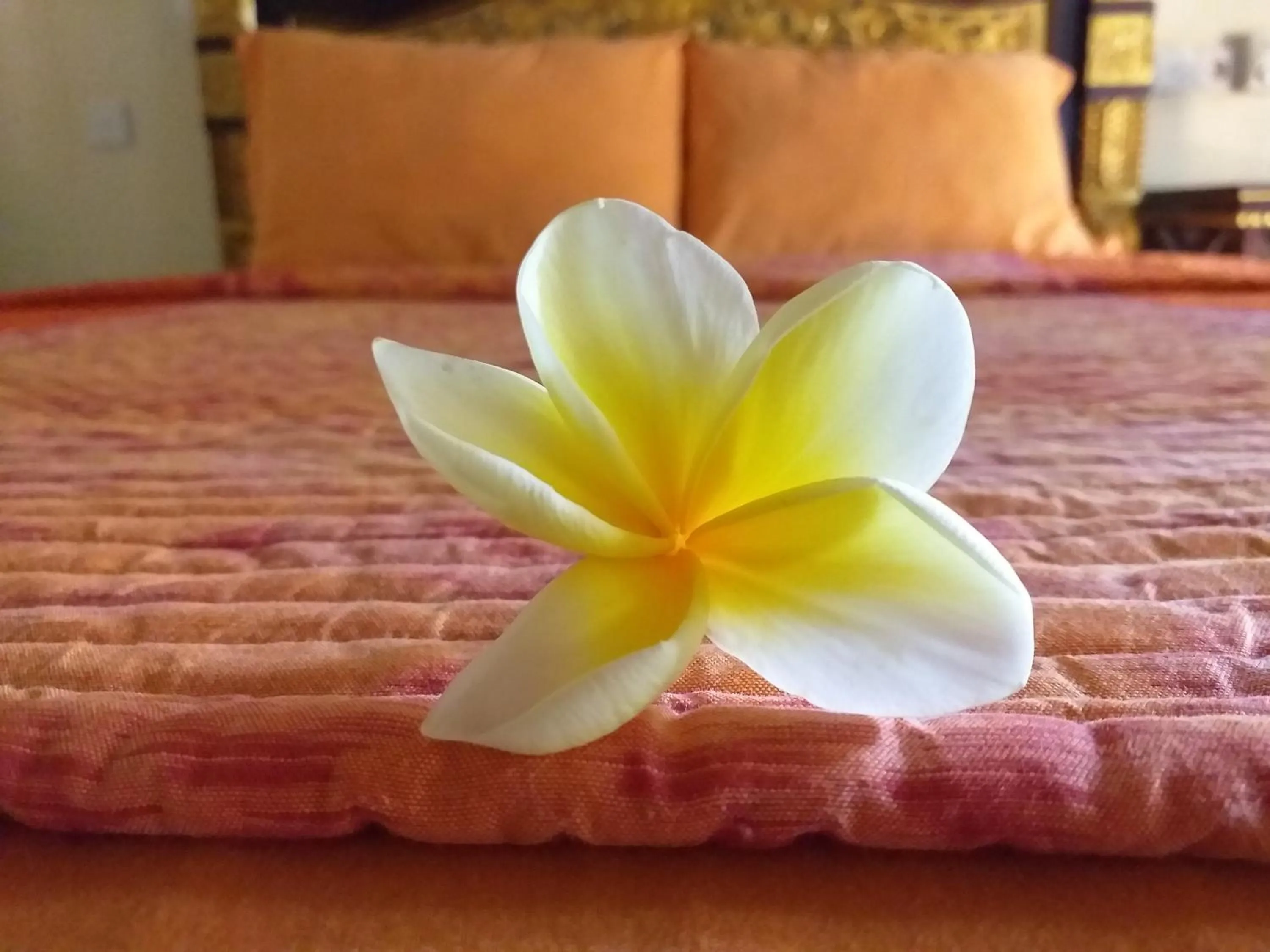 Decorative detail, Bed in Puri Asri Bungalow Ubud