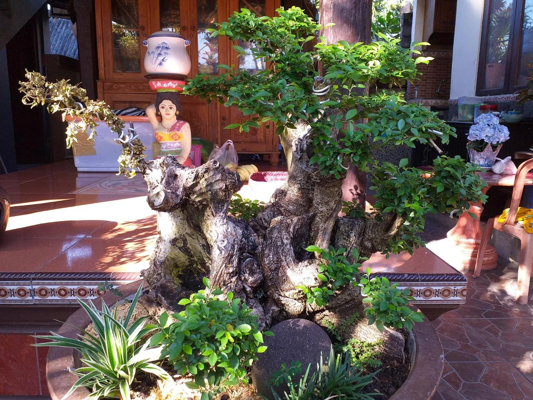Garden in Puri Asri Bungalow Ubud