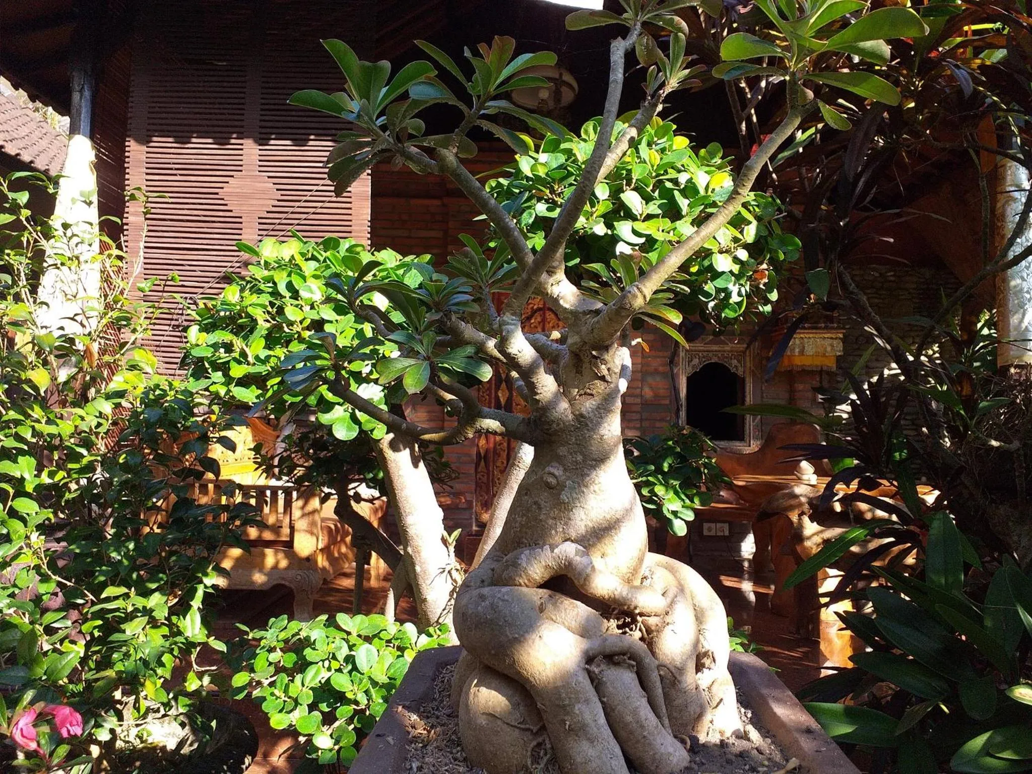 Garden in Puri Asri Bungalow Ubud