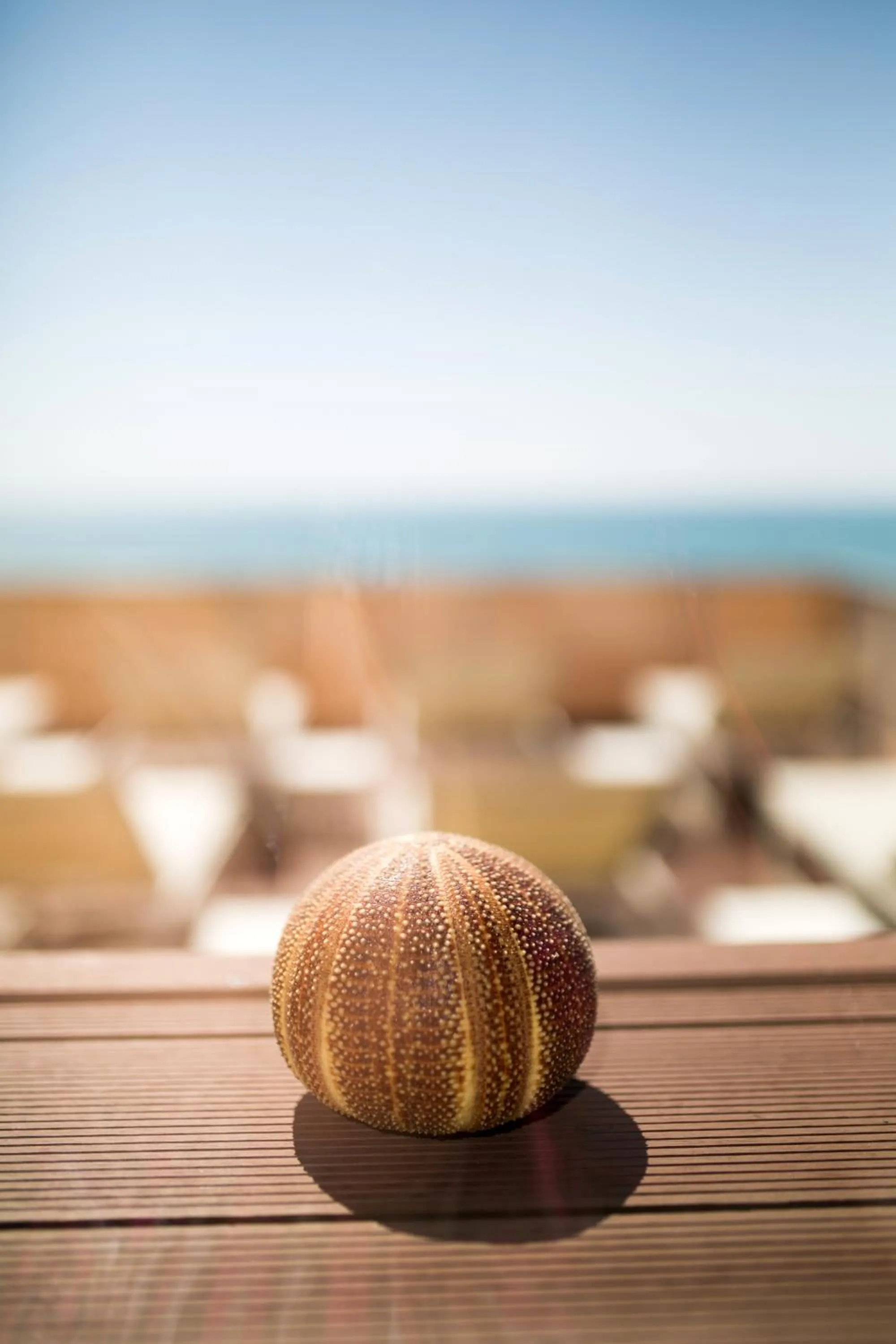 Decorative detail in Hotel Europa Lignano