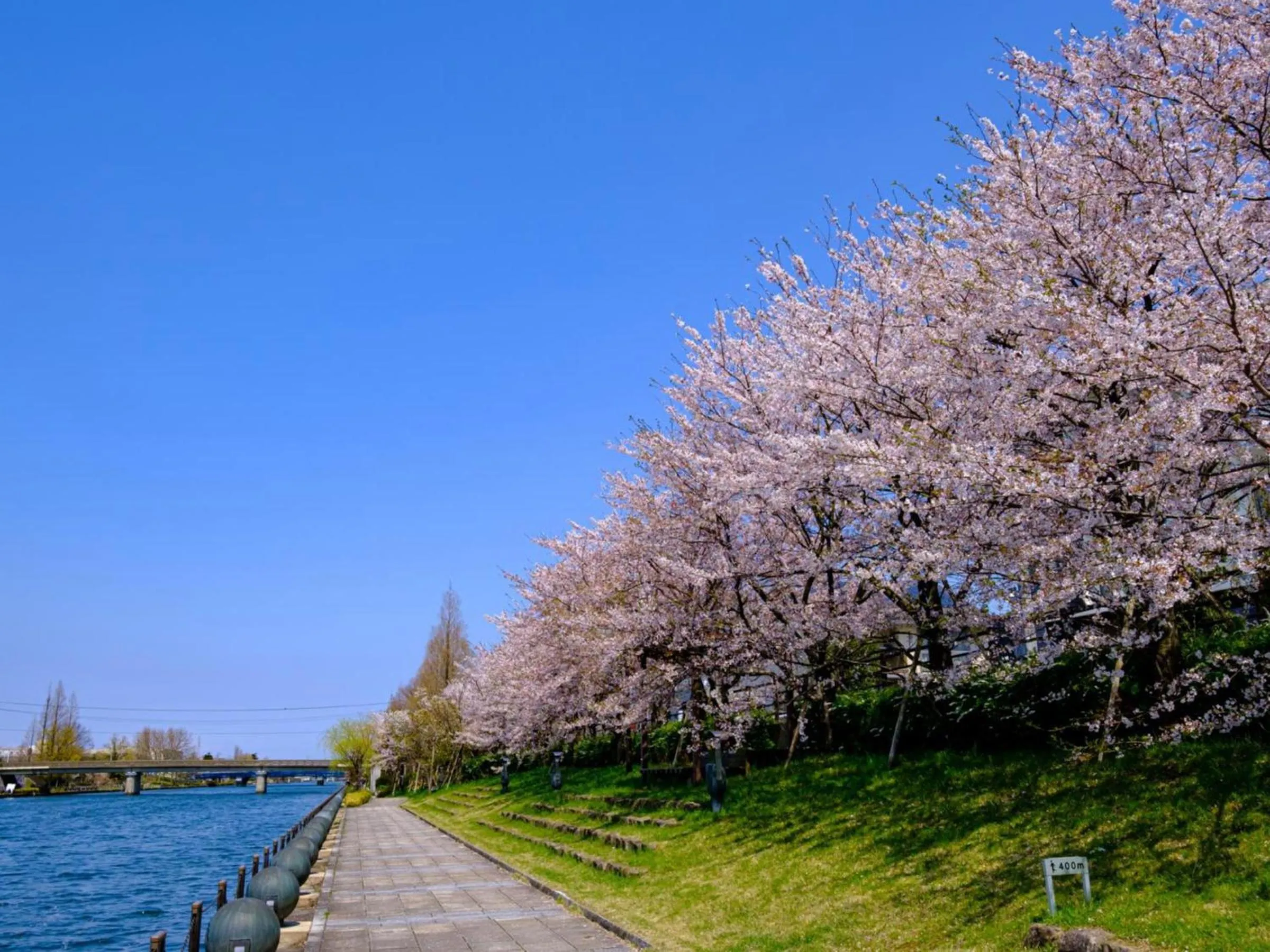 Nearby landmark in Hotel Morinokaze Tateyama‎