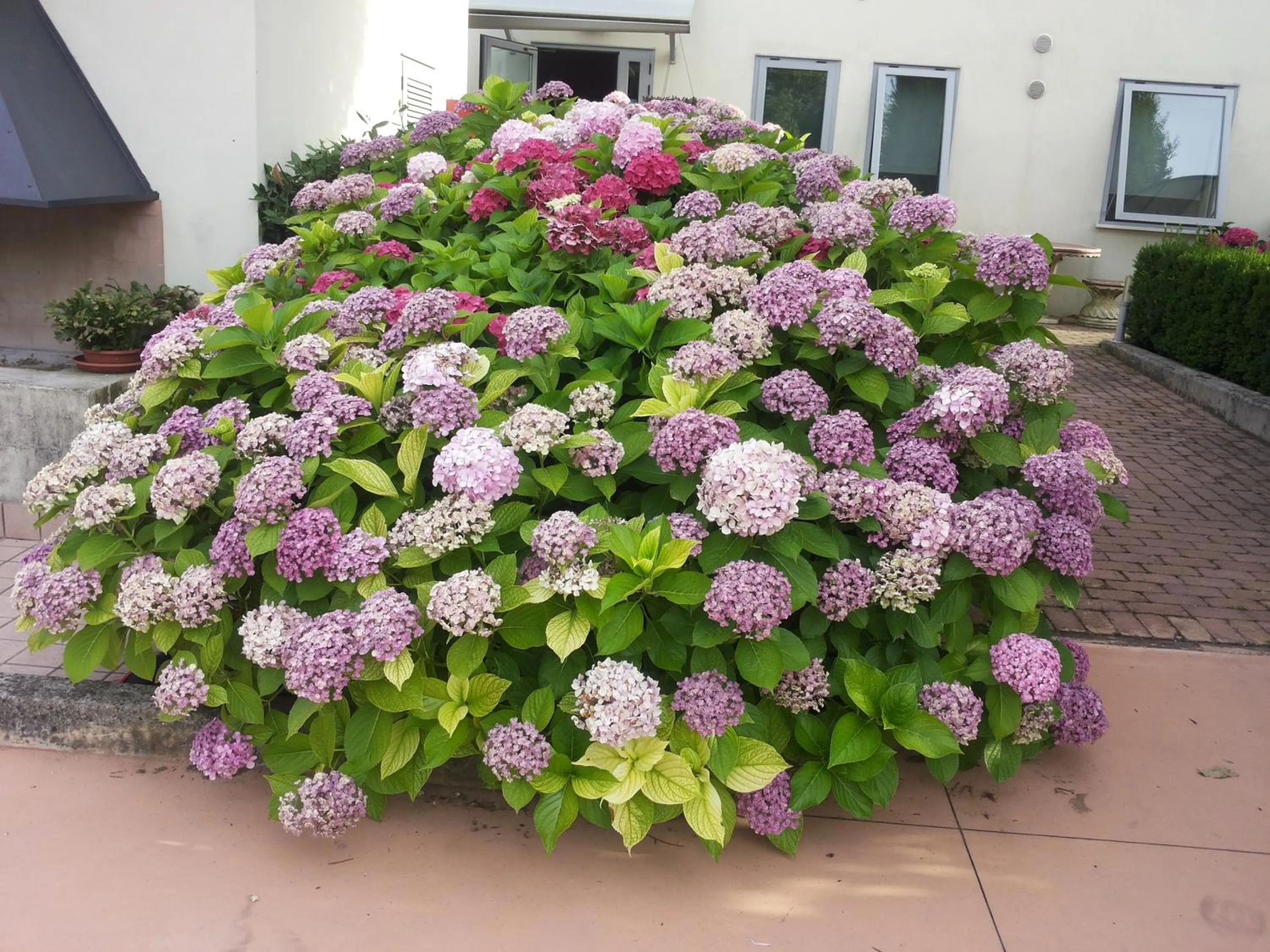 Facade/entrance in A Casa Di Paola