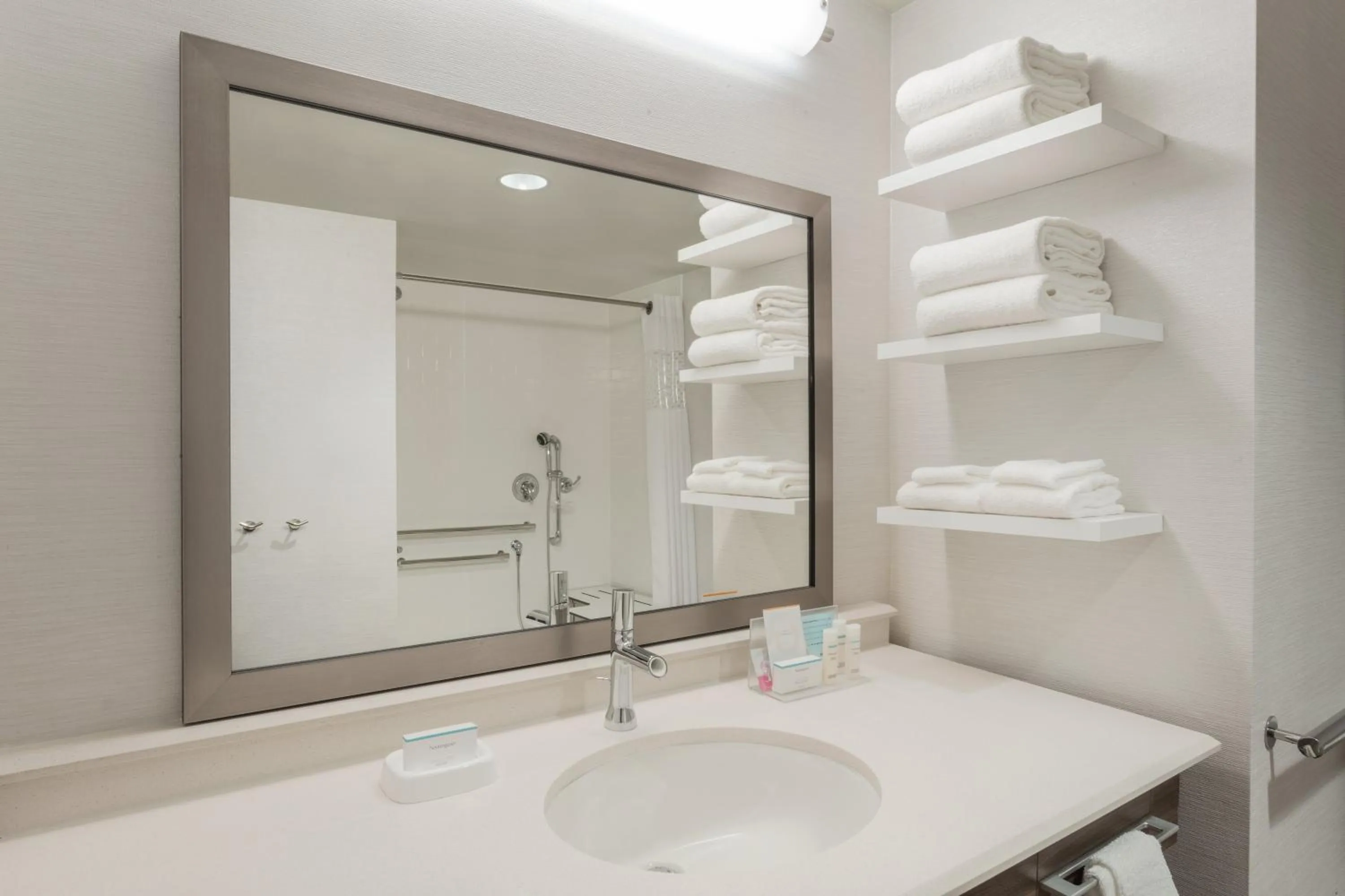 Bathroom in Hampton Inn & Suites West Des Moines Mill Civic