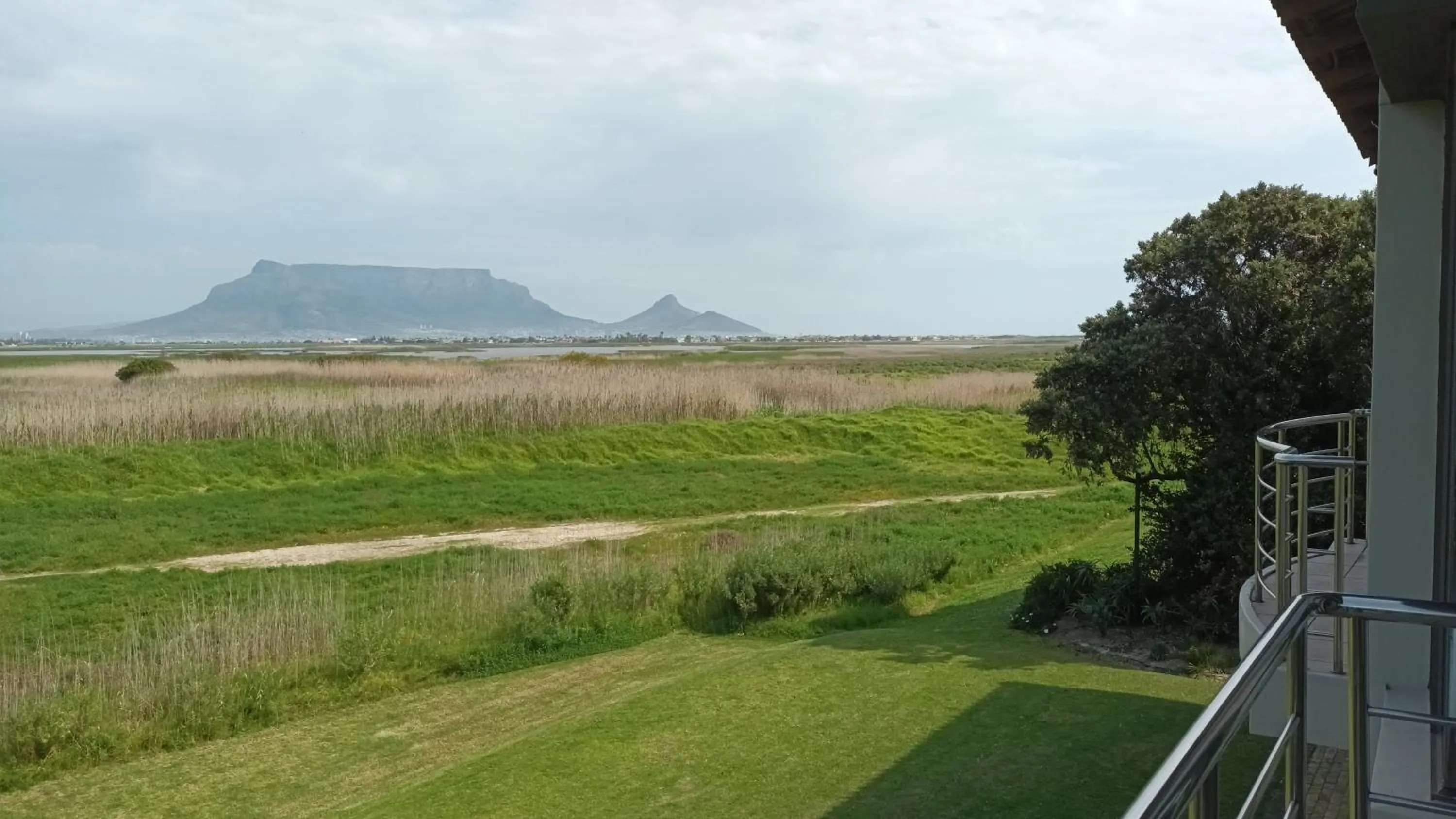 Garden view in Castellon Boutique Hotel