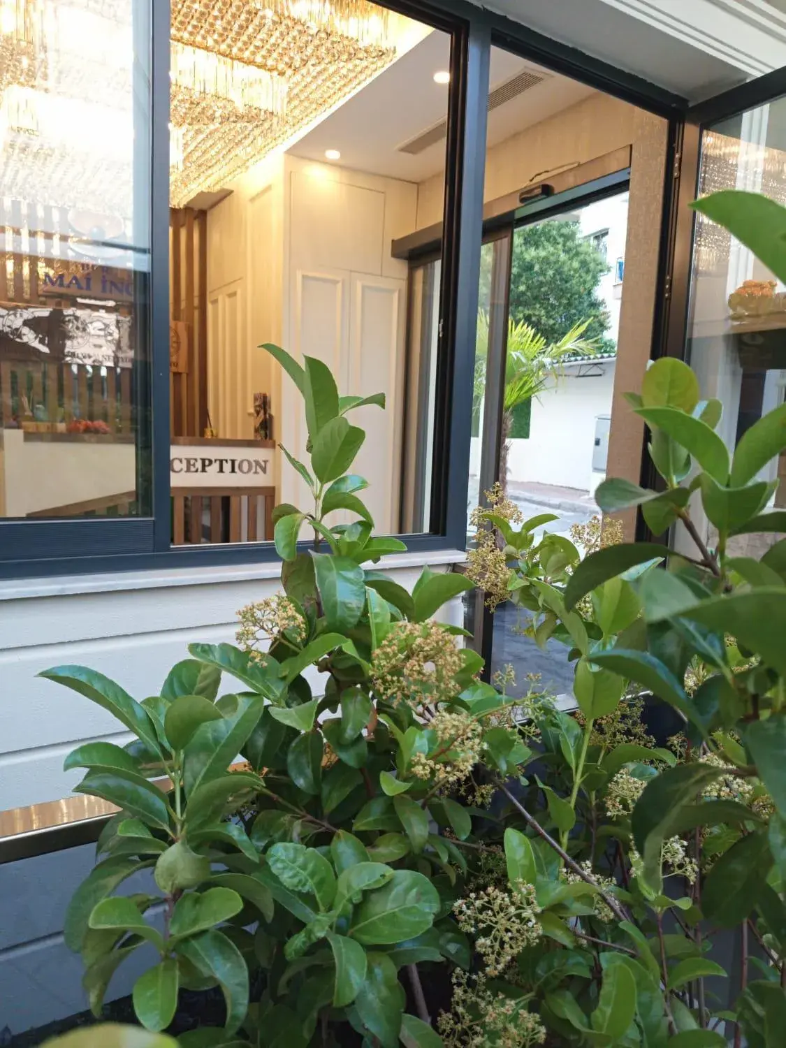 Lobby or reception in Ber Mai İnci Hotel Antalya Lobby or reception in Ber Mai İnci Hotel Antalya