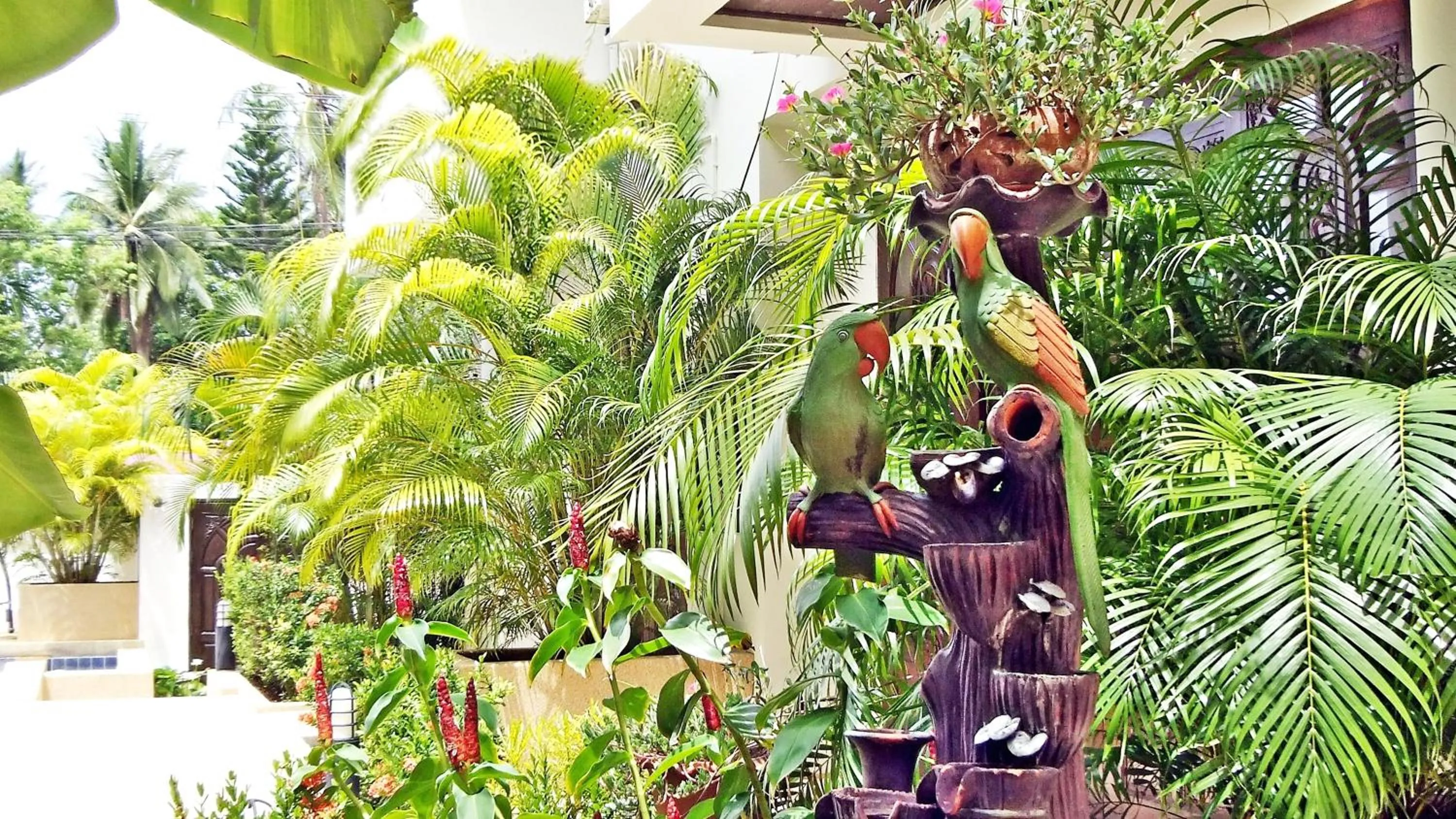 Garden in Soleil D'asie Residence