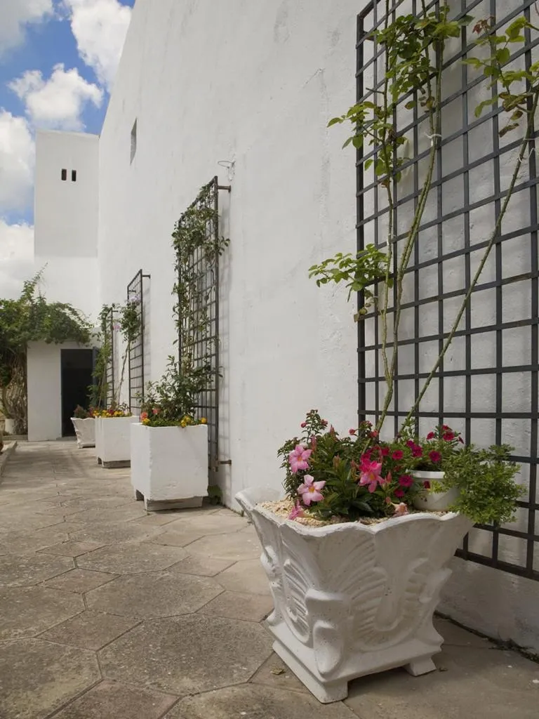 B&B Virò