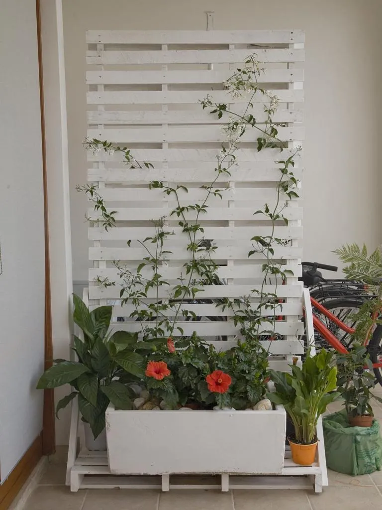 B&B Virò
