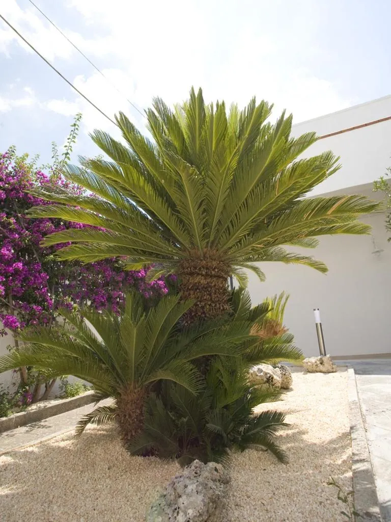 B&B Virò