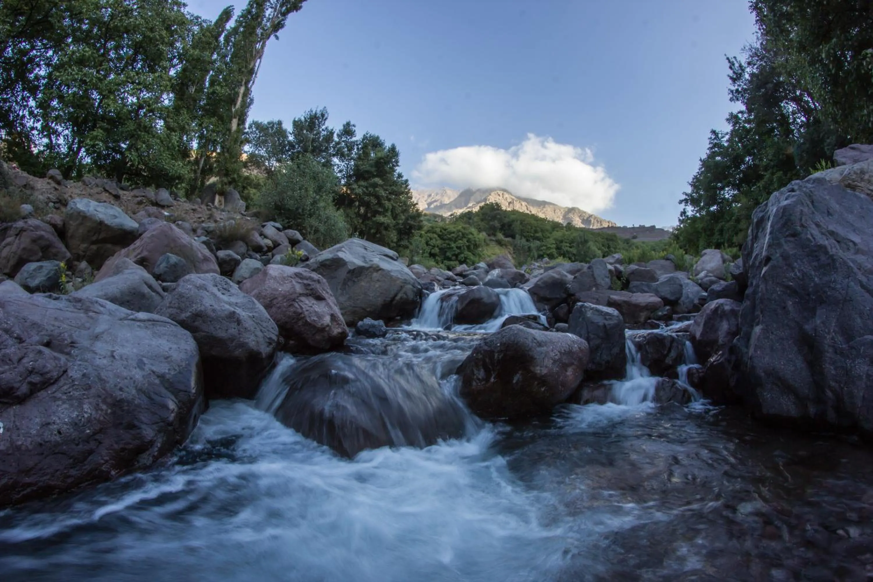 Garden view in Imlil Refuge