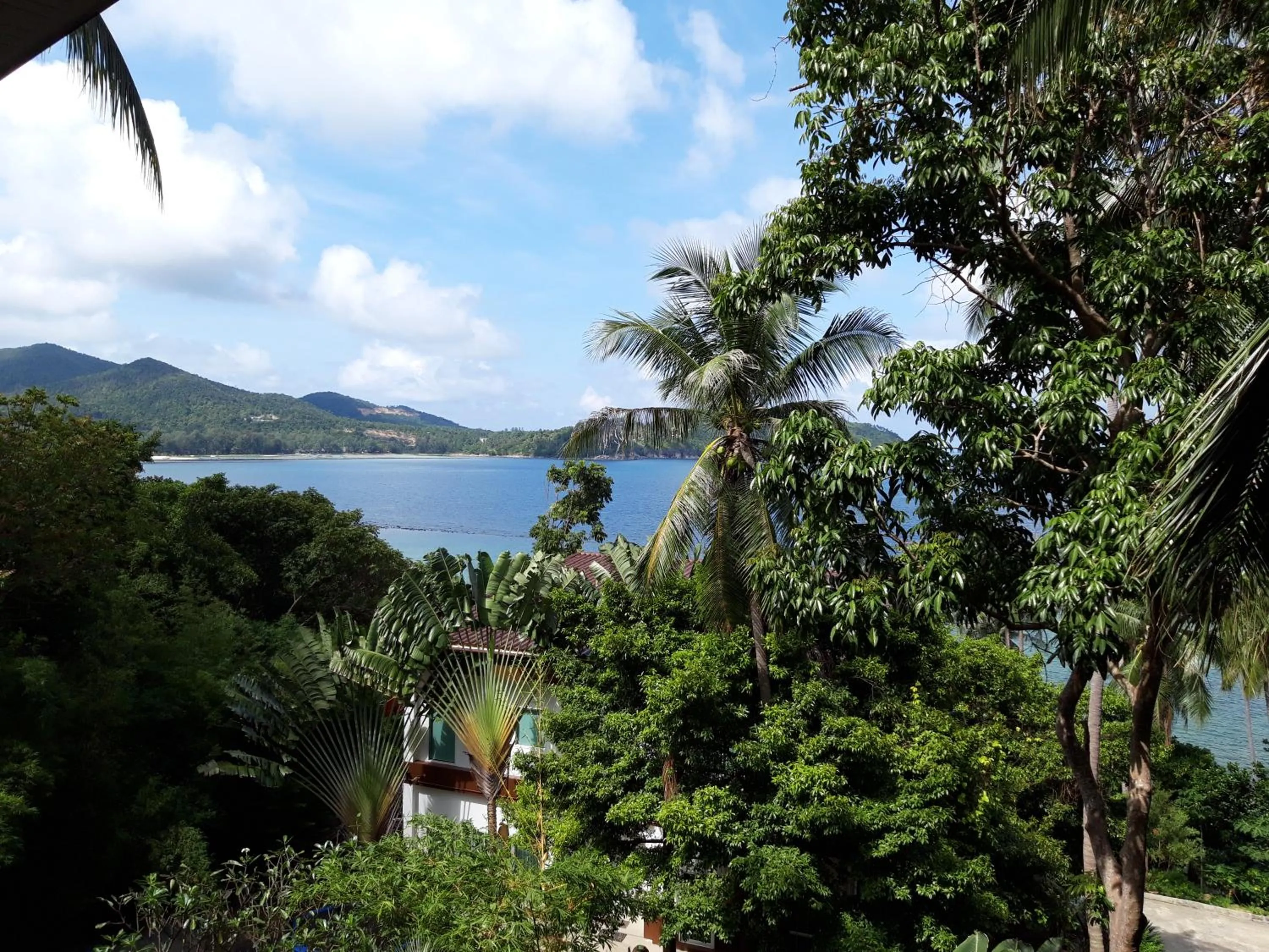 Natural landscape in Padel Phangan Suite