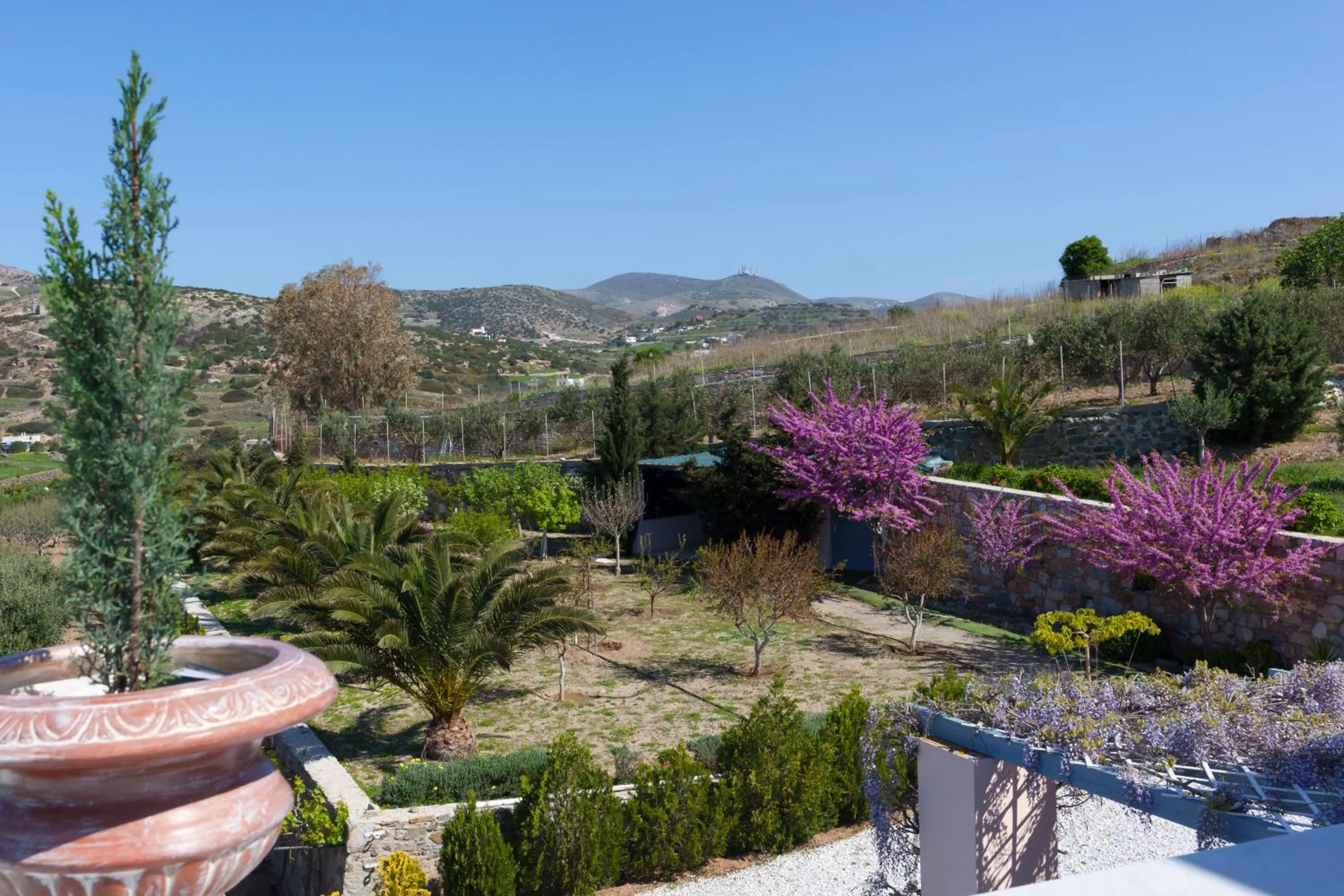 Spring in Villa Casa Del Sol Syros