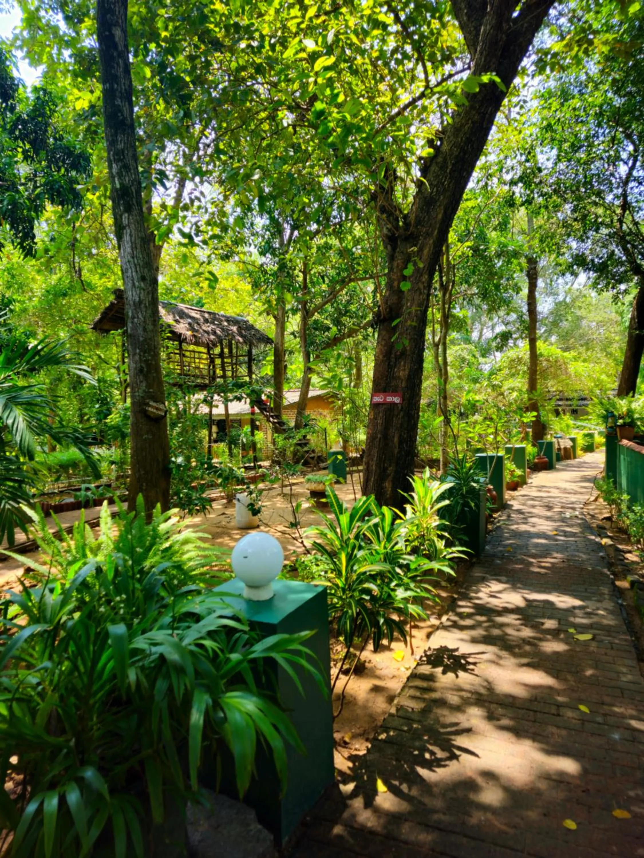 Udawalawe Safari Village