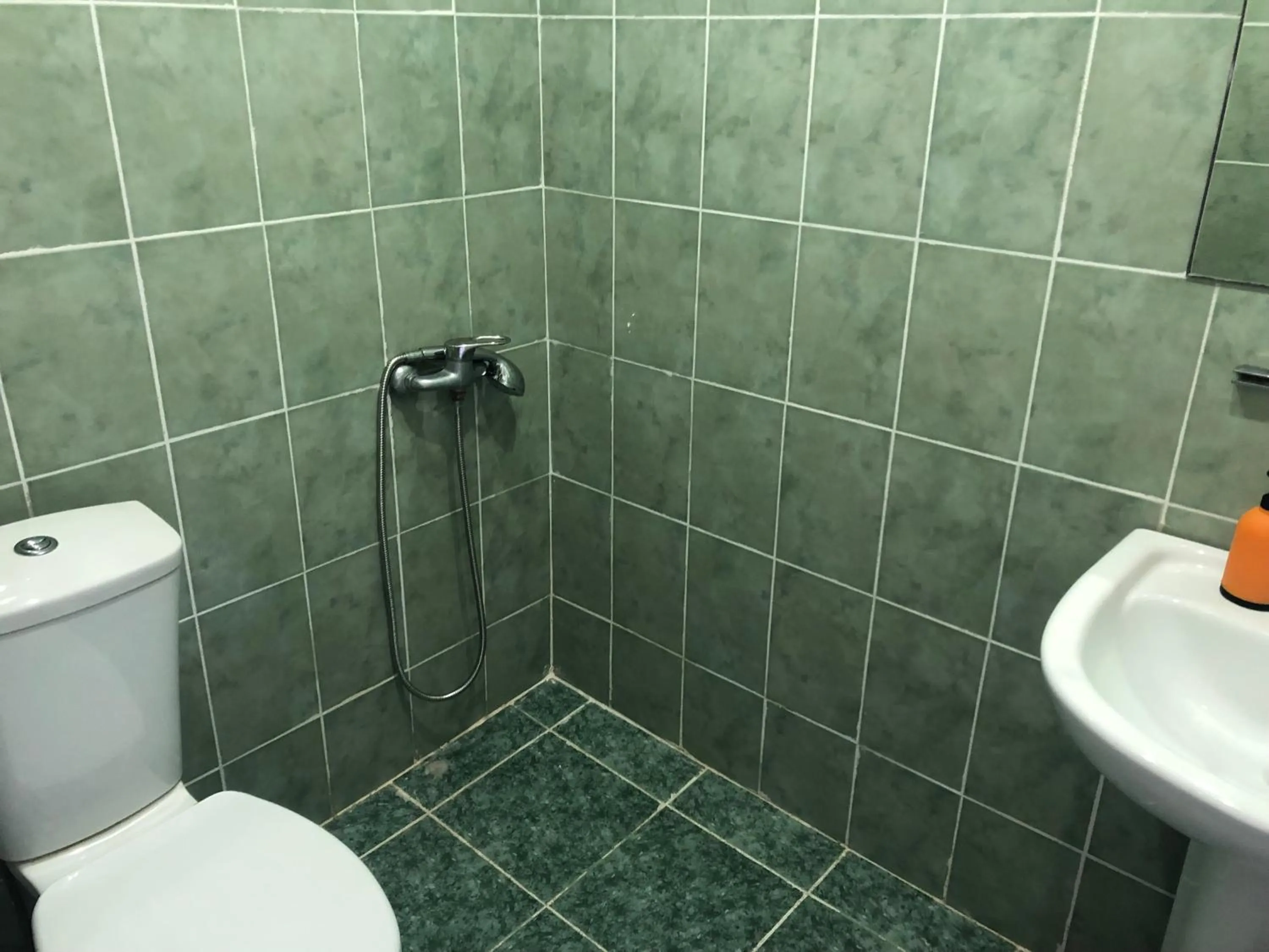 Shower in Hotel Mirage Ureki