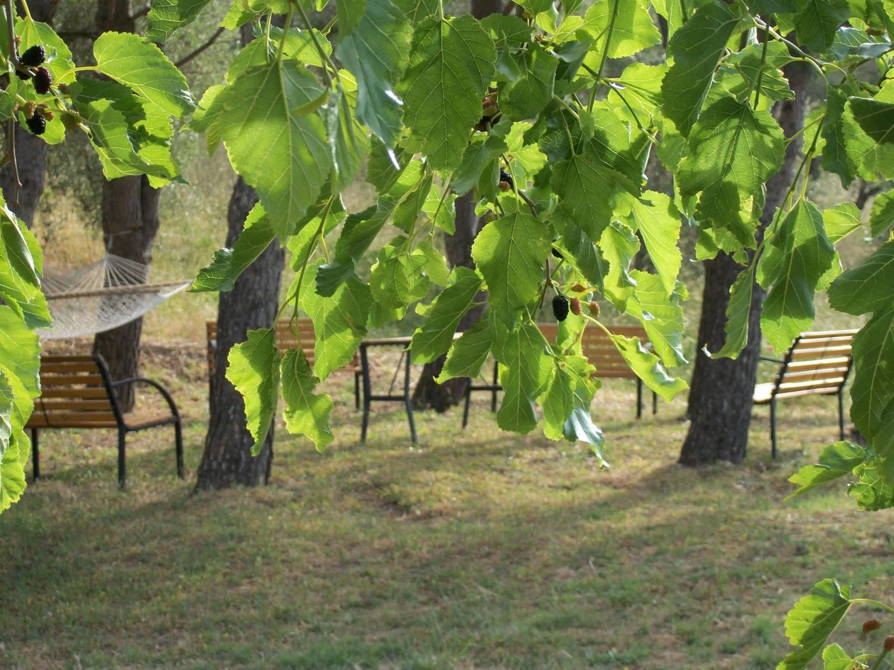 Garden in Le Poiane B&B Vacanze