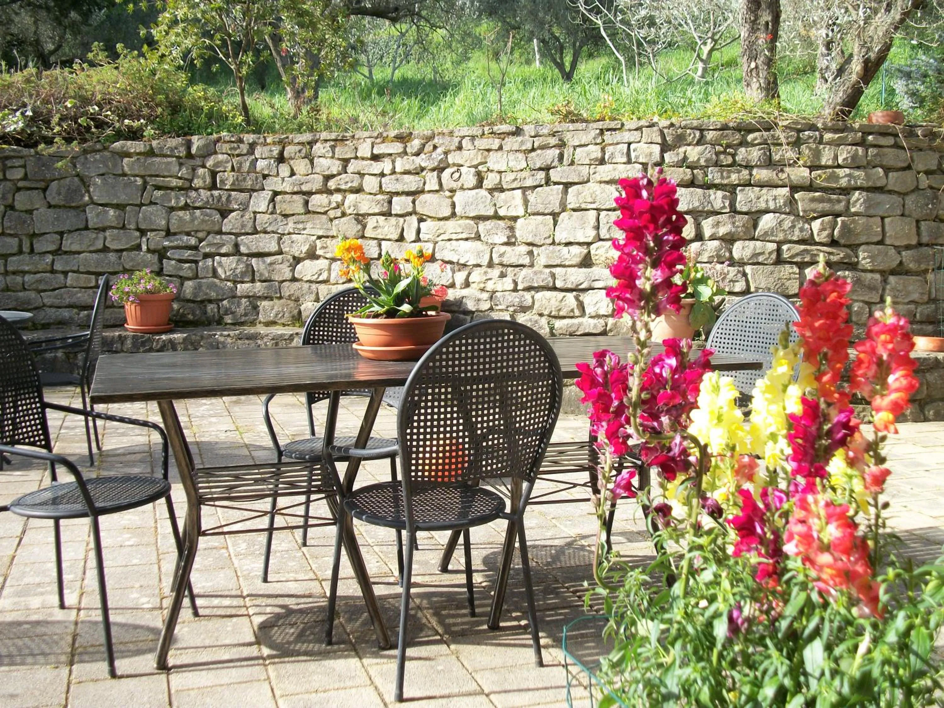 Garden in Le Poiane B&B Vacanze