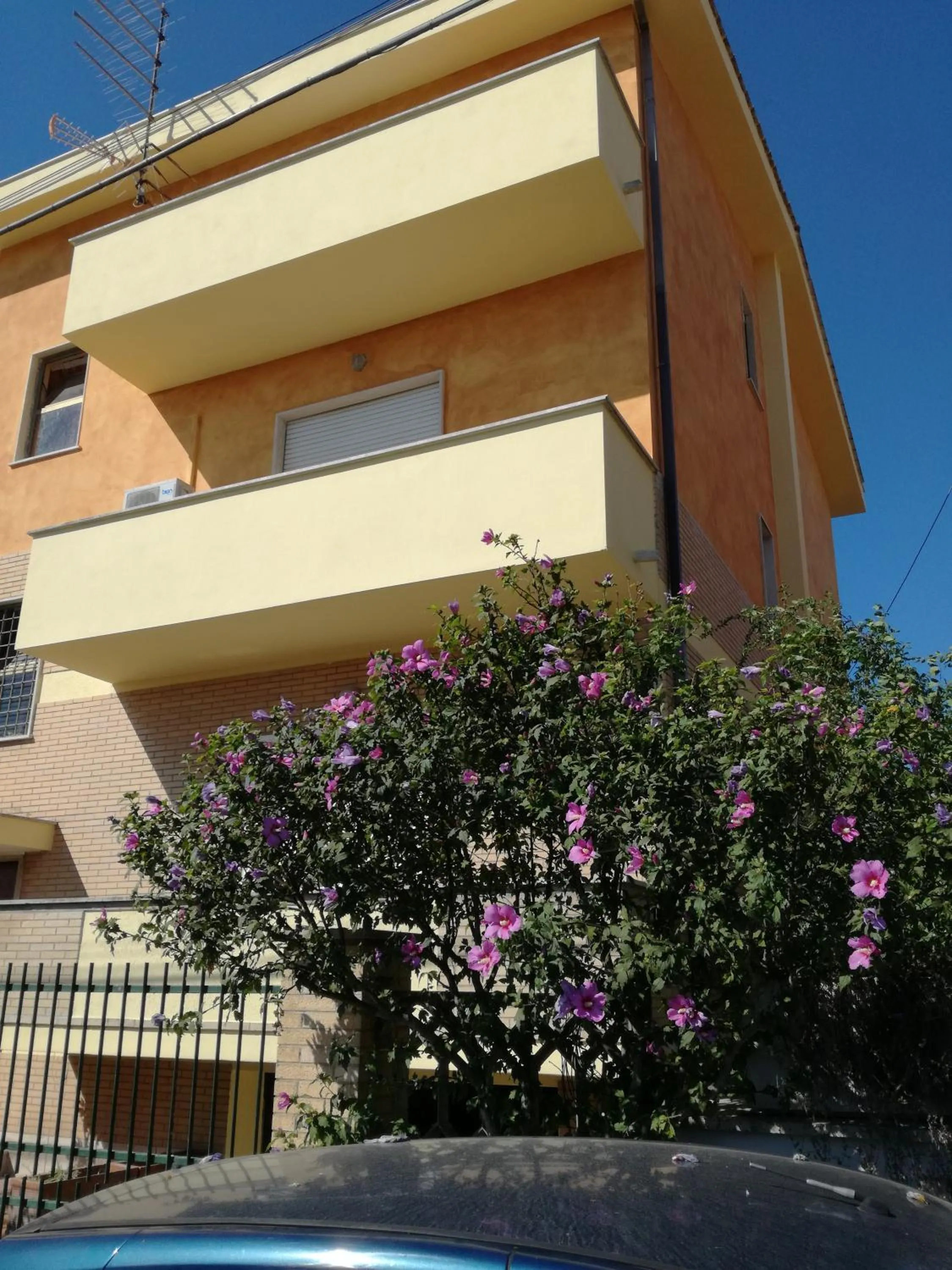 Property building in Bb Smallville