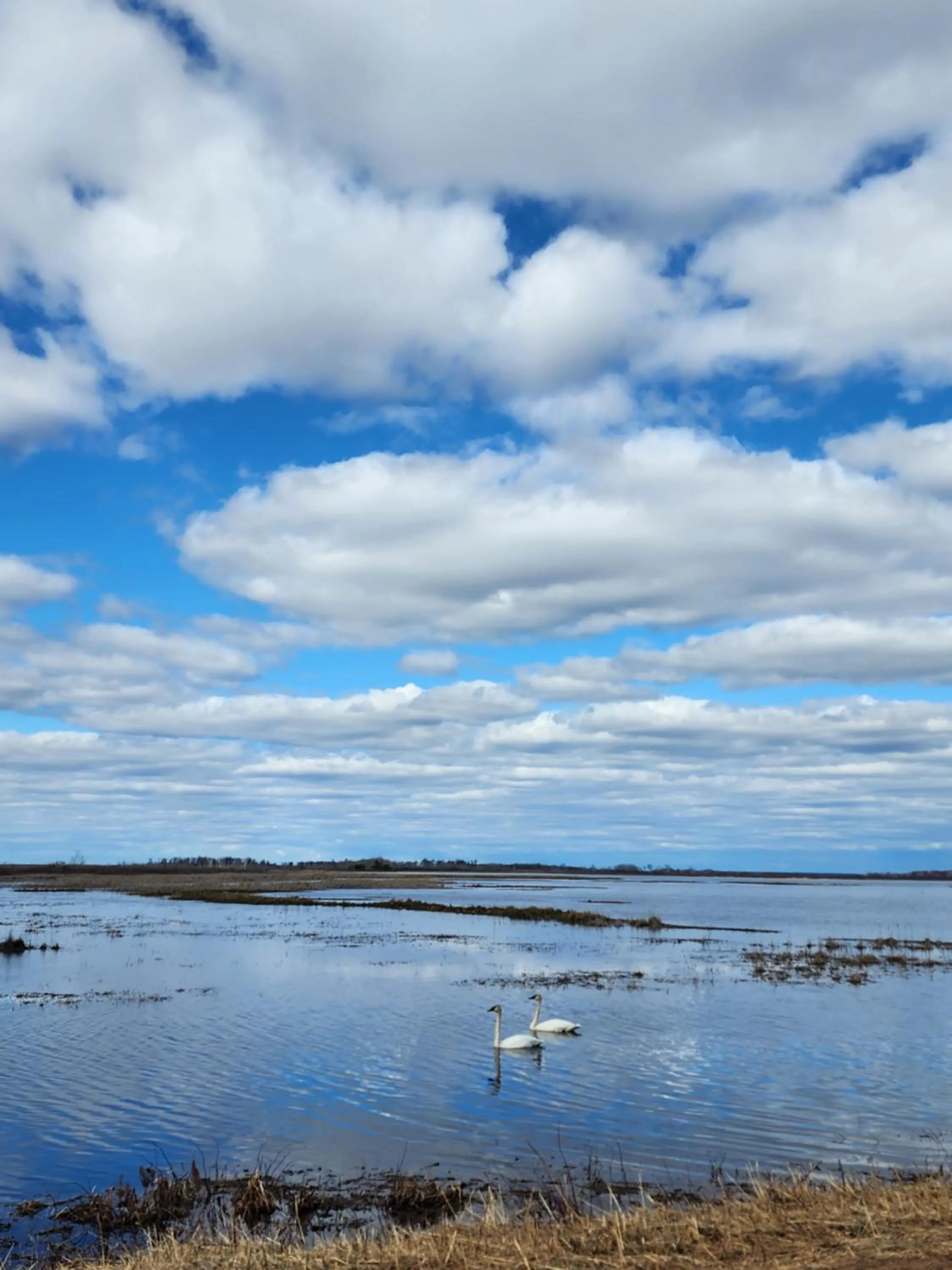 Natural landscape in Grantsburg Inn