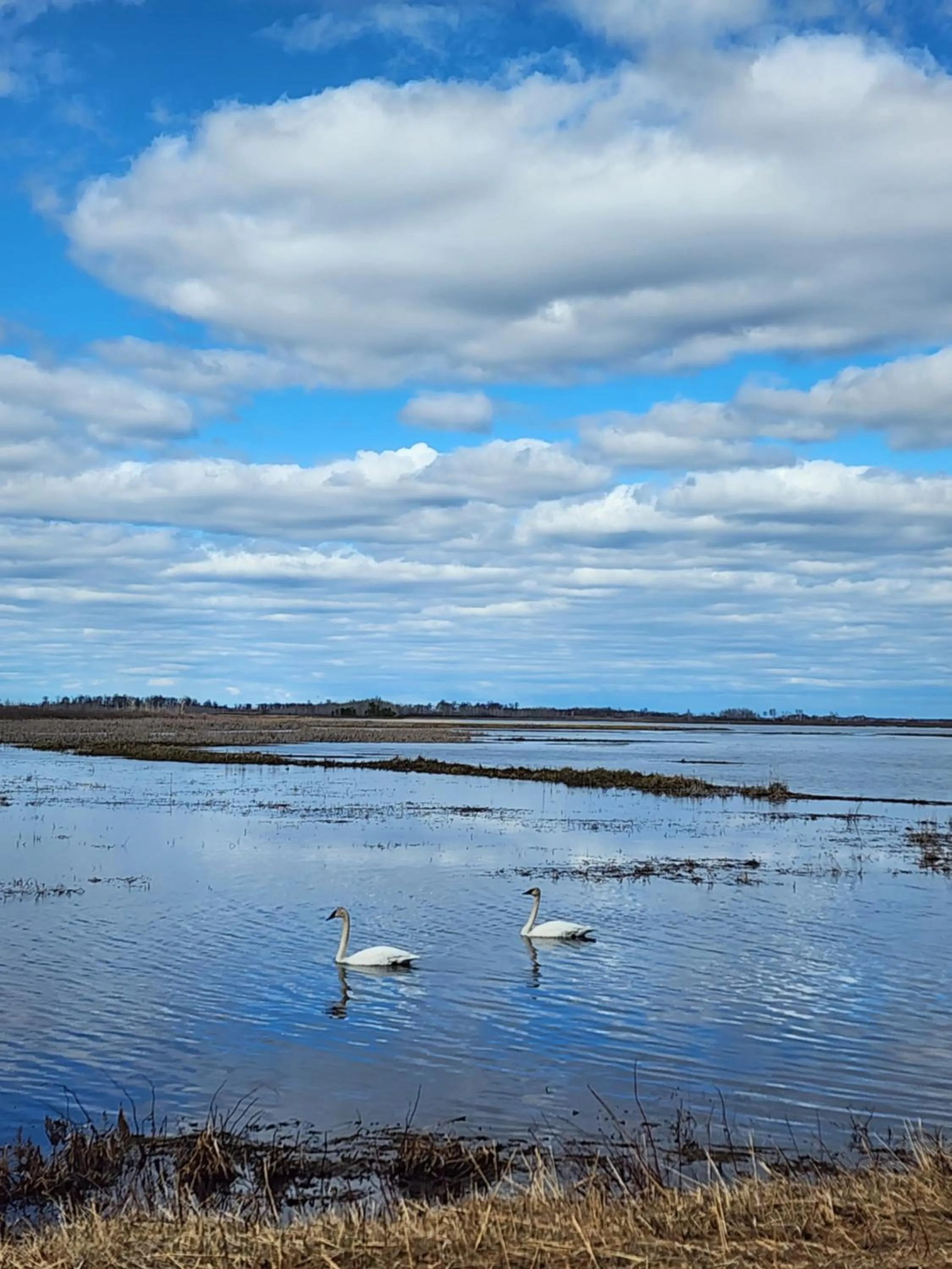 Natural landscape in Grantsburg Inn