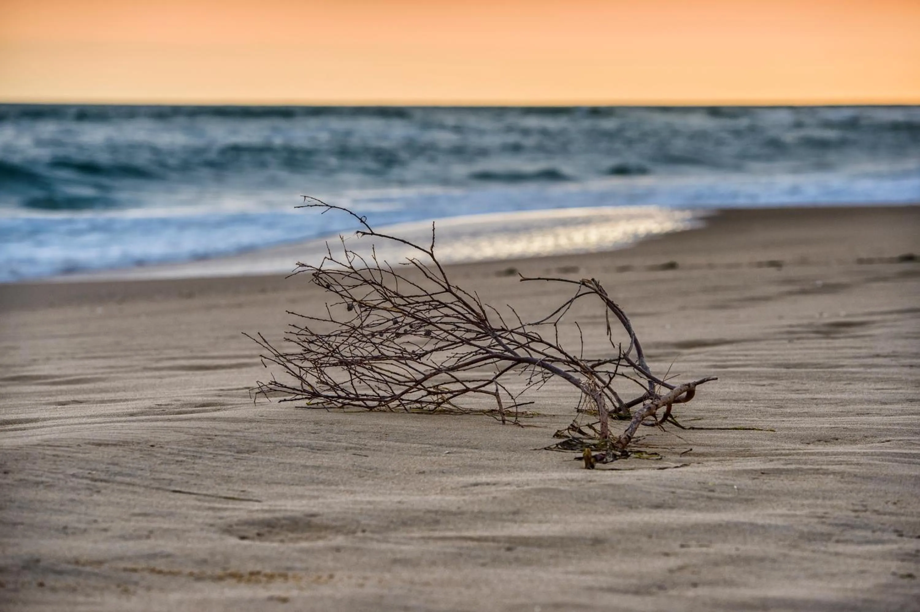 Natural landscape in The Lakes Beachfront Holiday Park