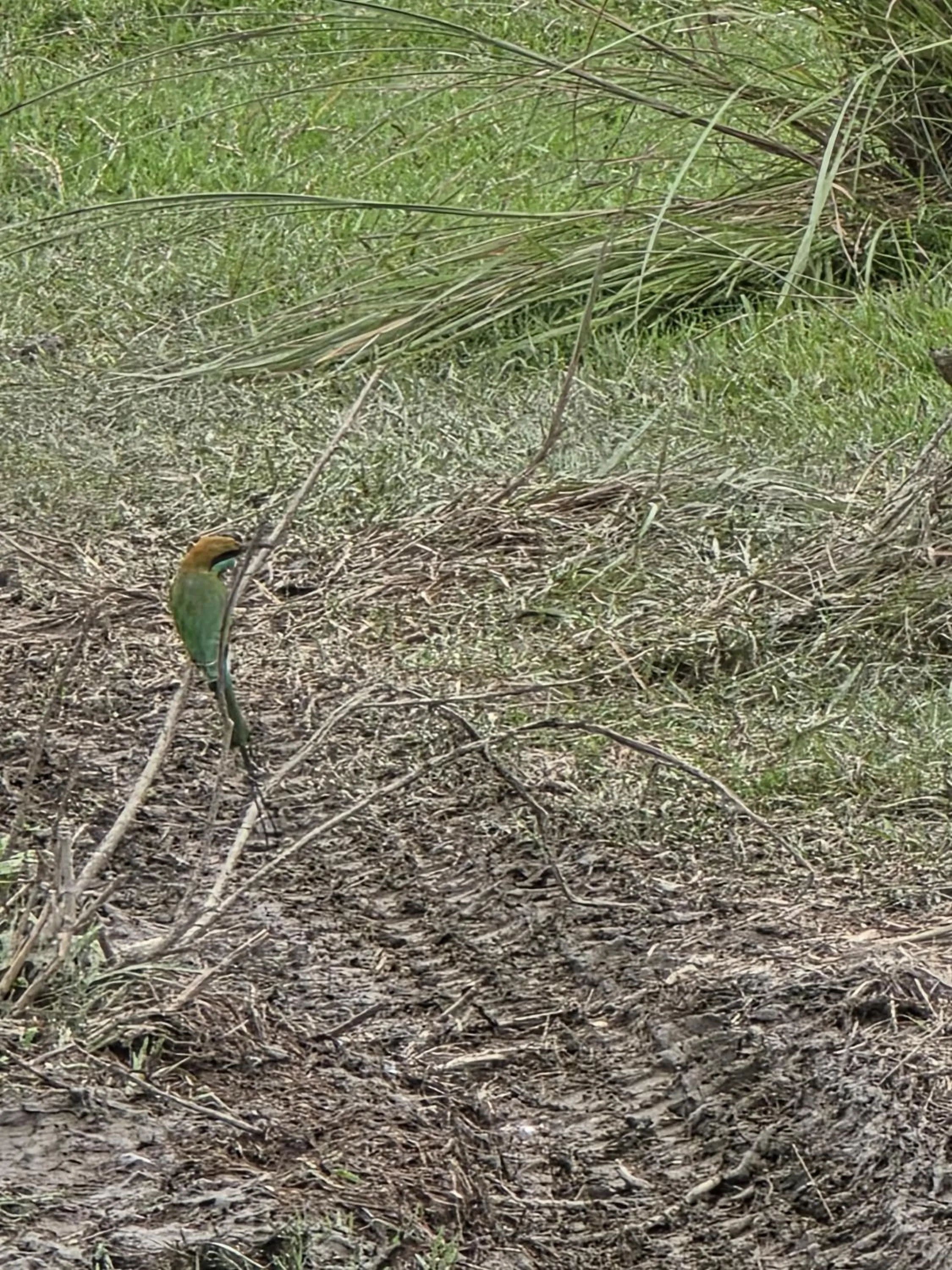 Natural landscape in Siddhartha Wildlife Retreat