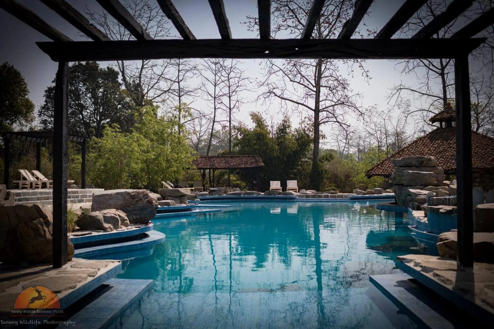 Swimming pool in Siddhartha Wildlife Retreat