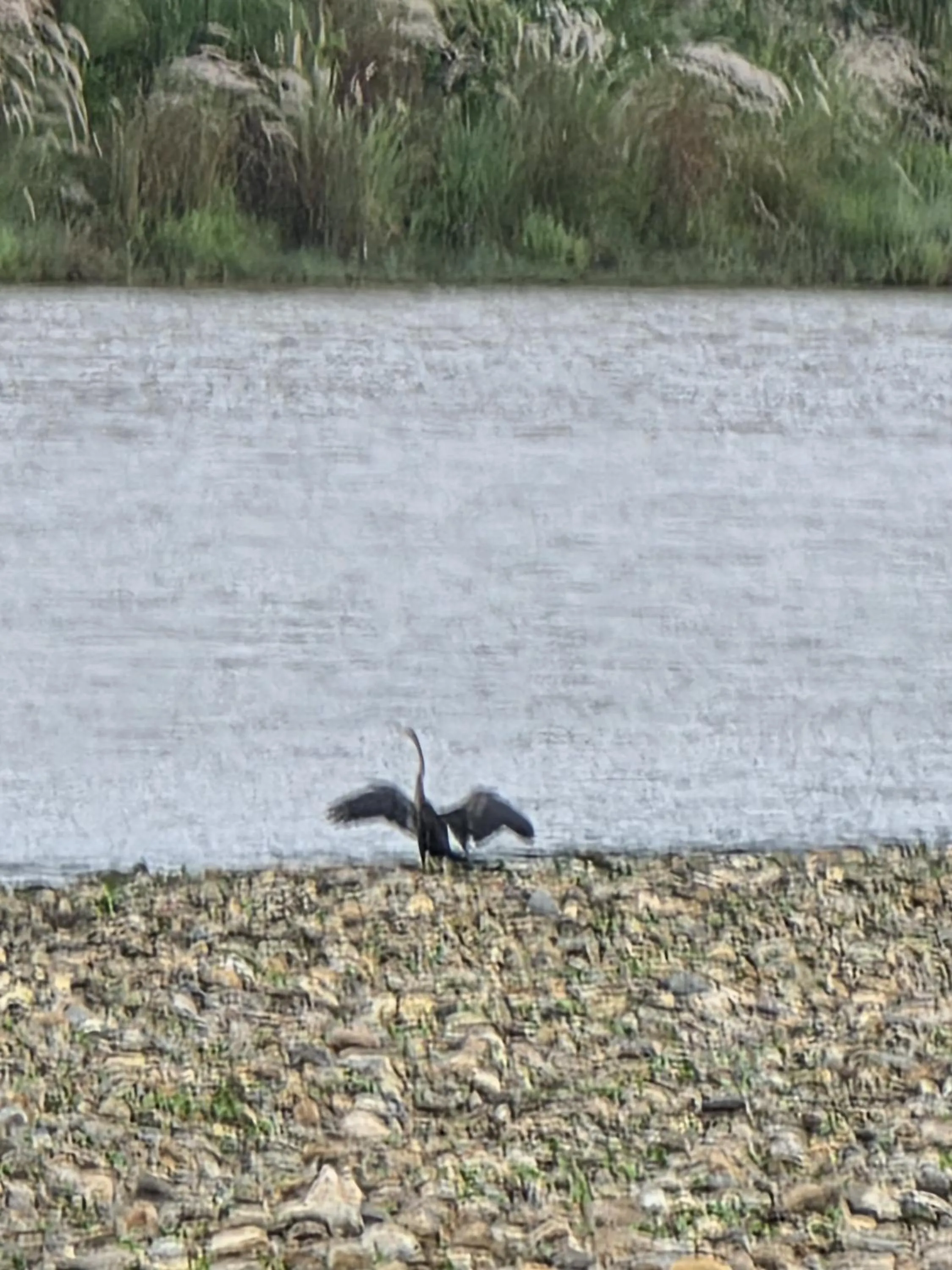 Natural landscape in Siddhartha Wildlife Retreat