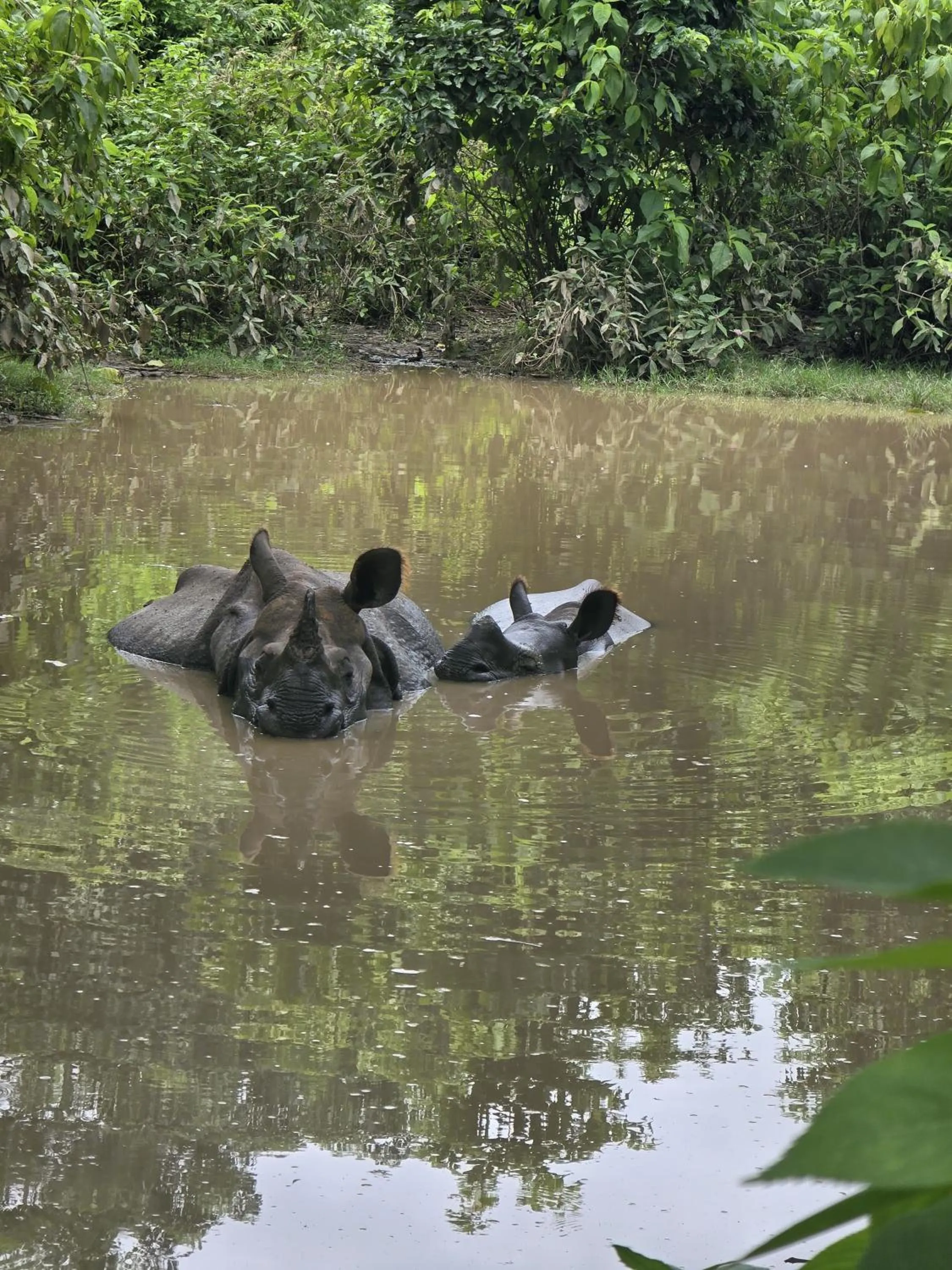 Animals in Siddhartha Wildlife Retreat