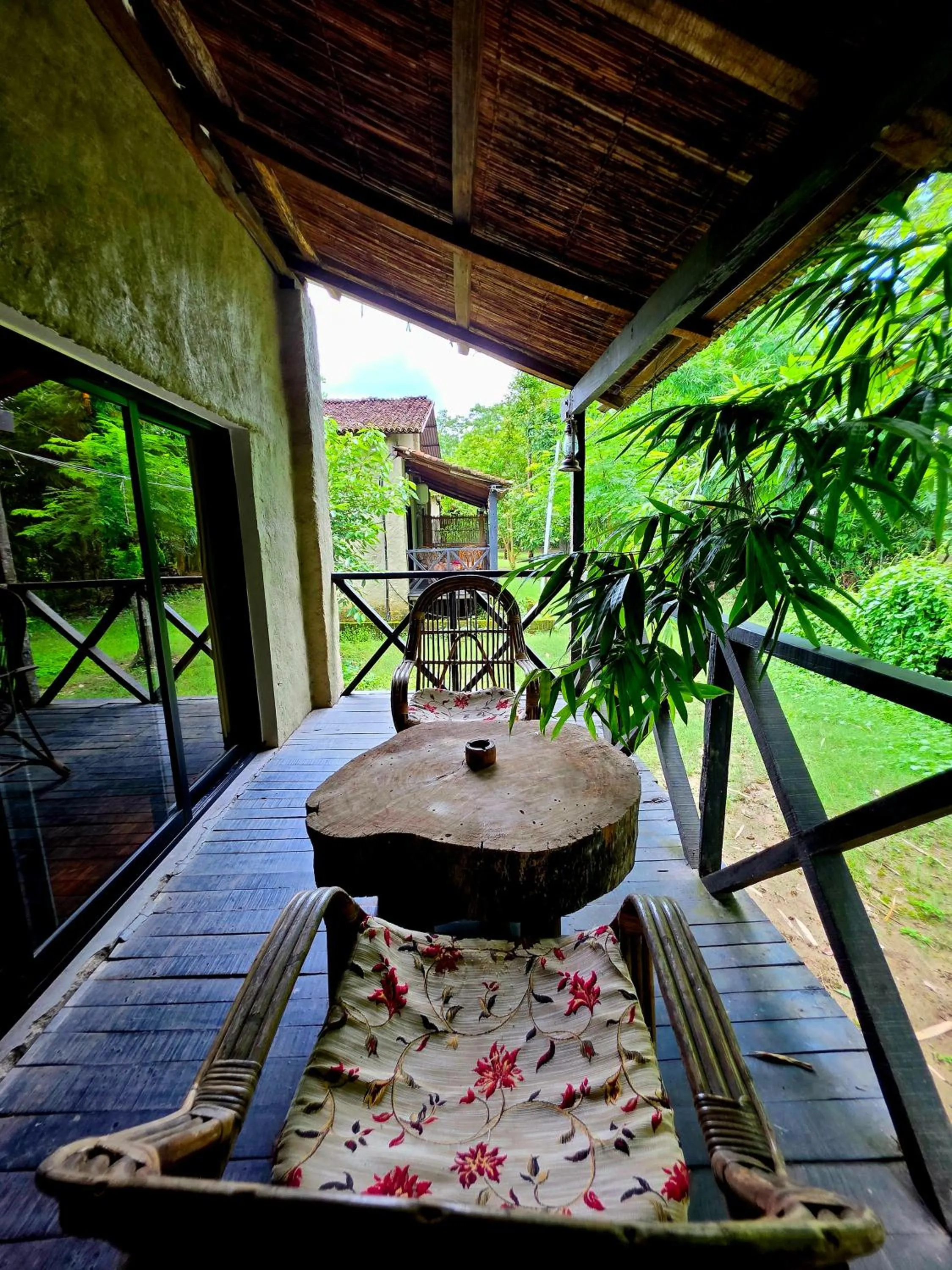 View (from property/room) in Siddhartha Wildlife Retreat