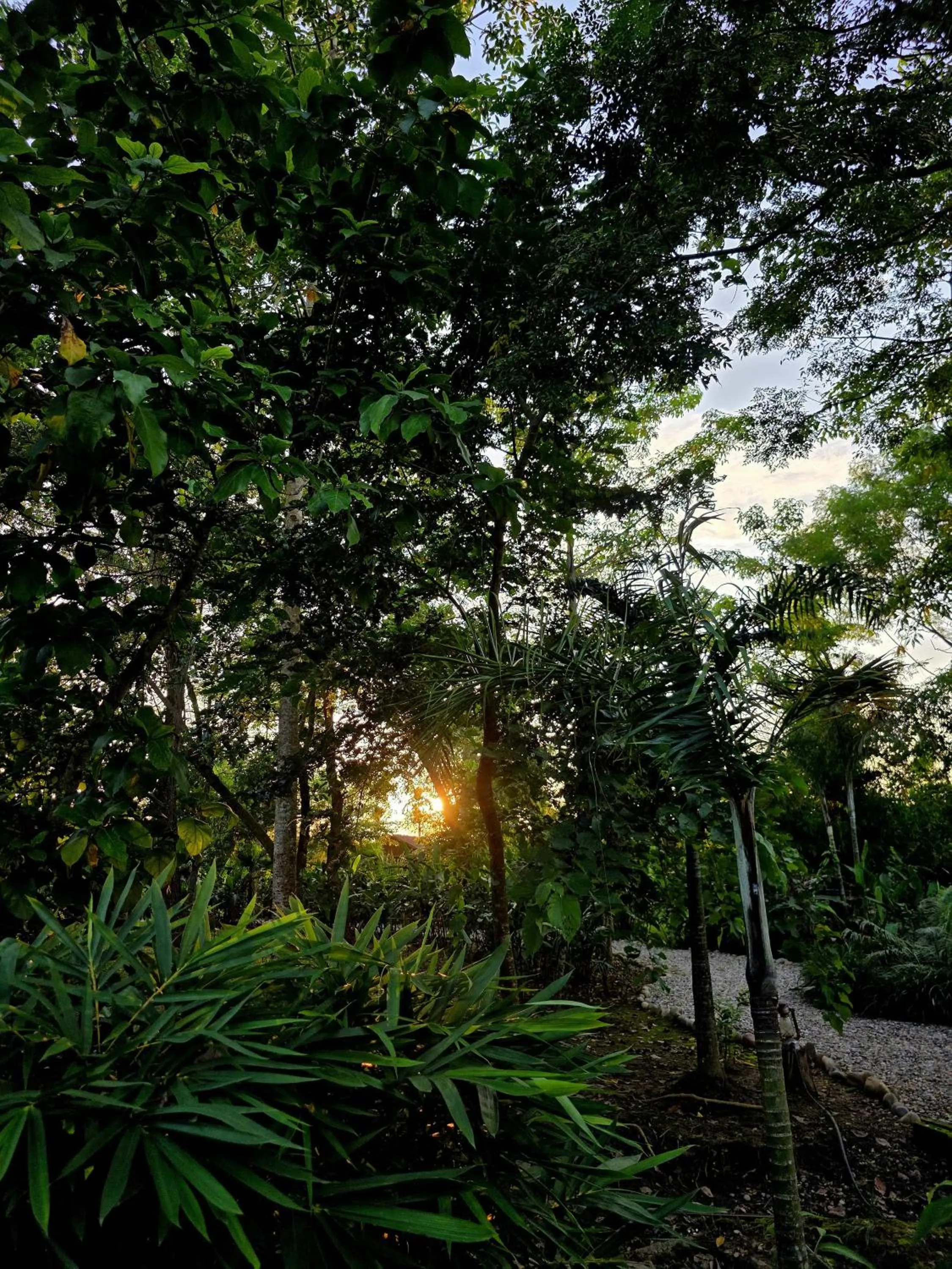 Natural landscape in Siddhartha Wildlife Retreat