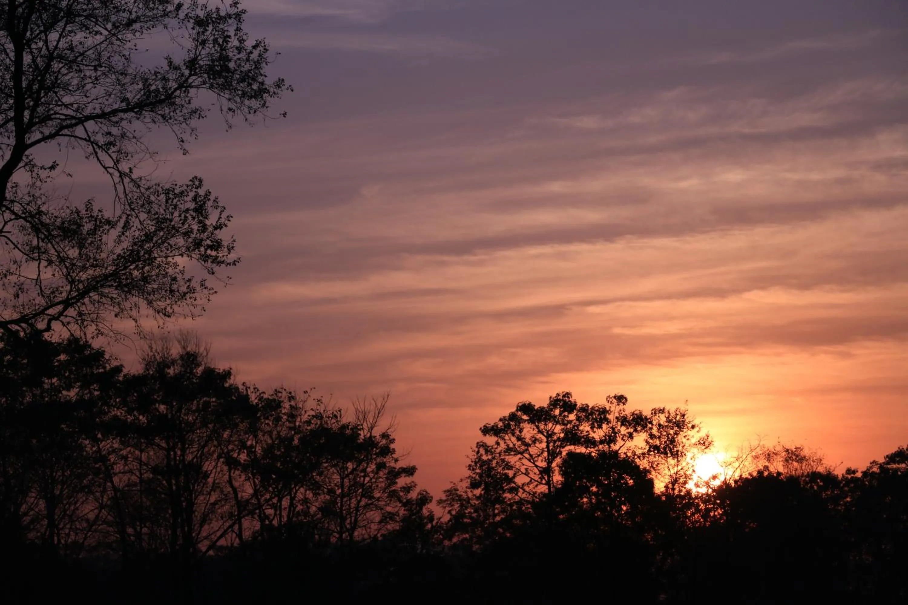 Neighbourhood in Siddhartha Wildlife Retreat